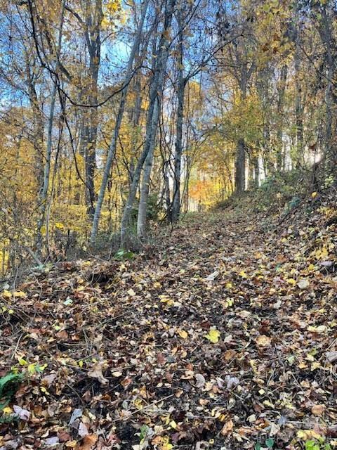 Private homesite would be on right at end of cleared path - 0 Whispering Winds Road, Waynesville
