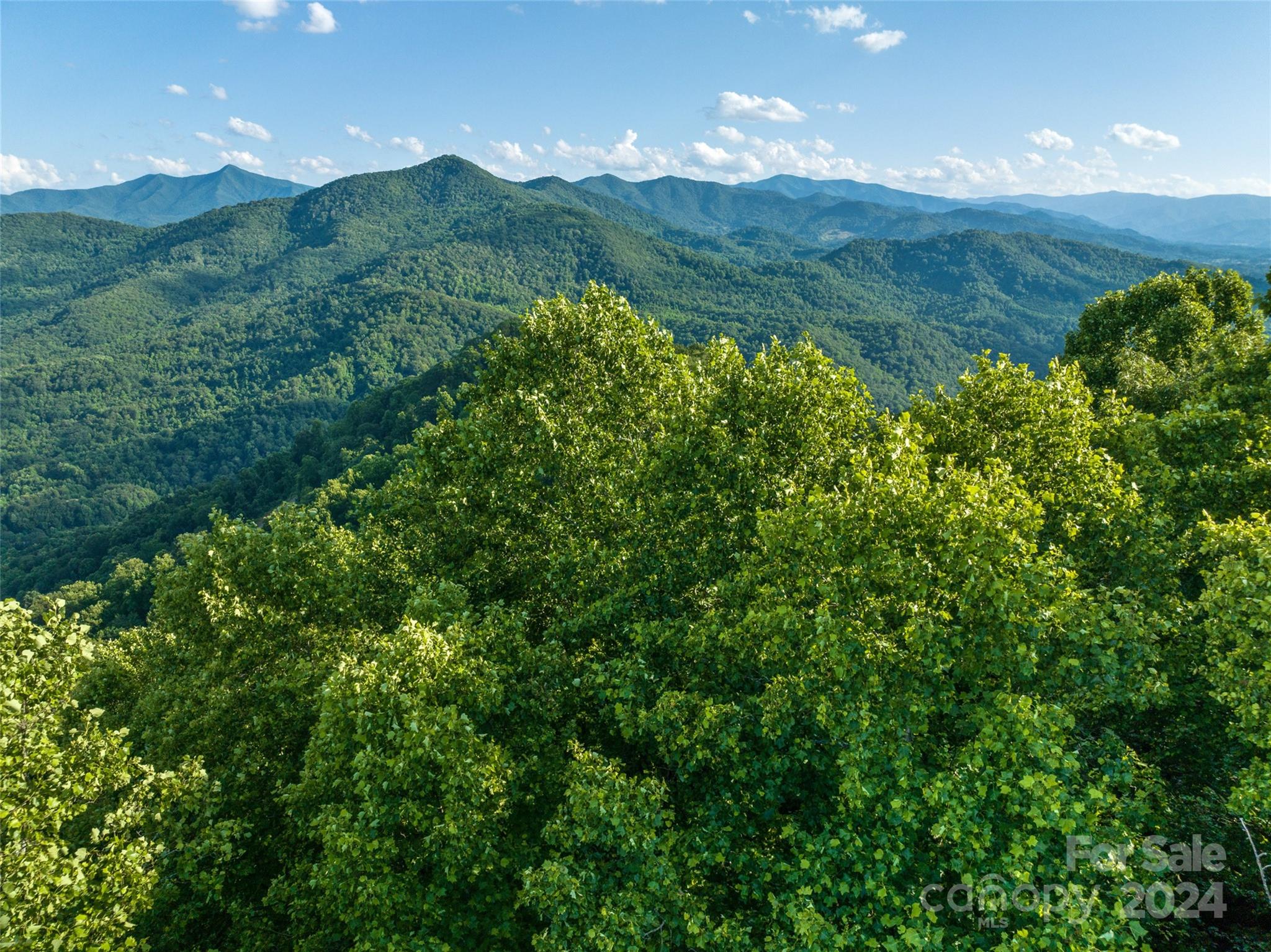Lot at 9999-28 Lovebird Lane, Canton, photo 4 of 22