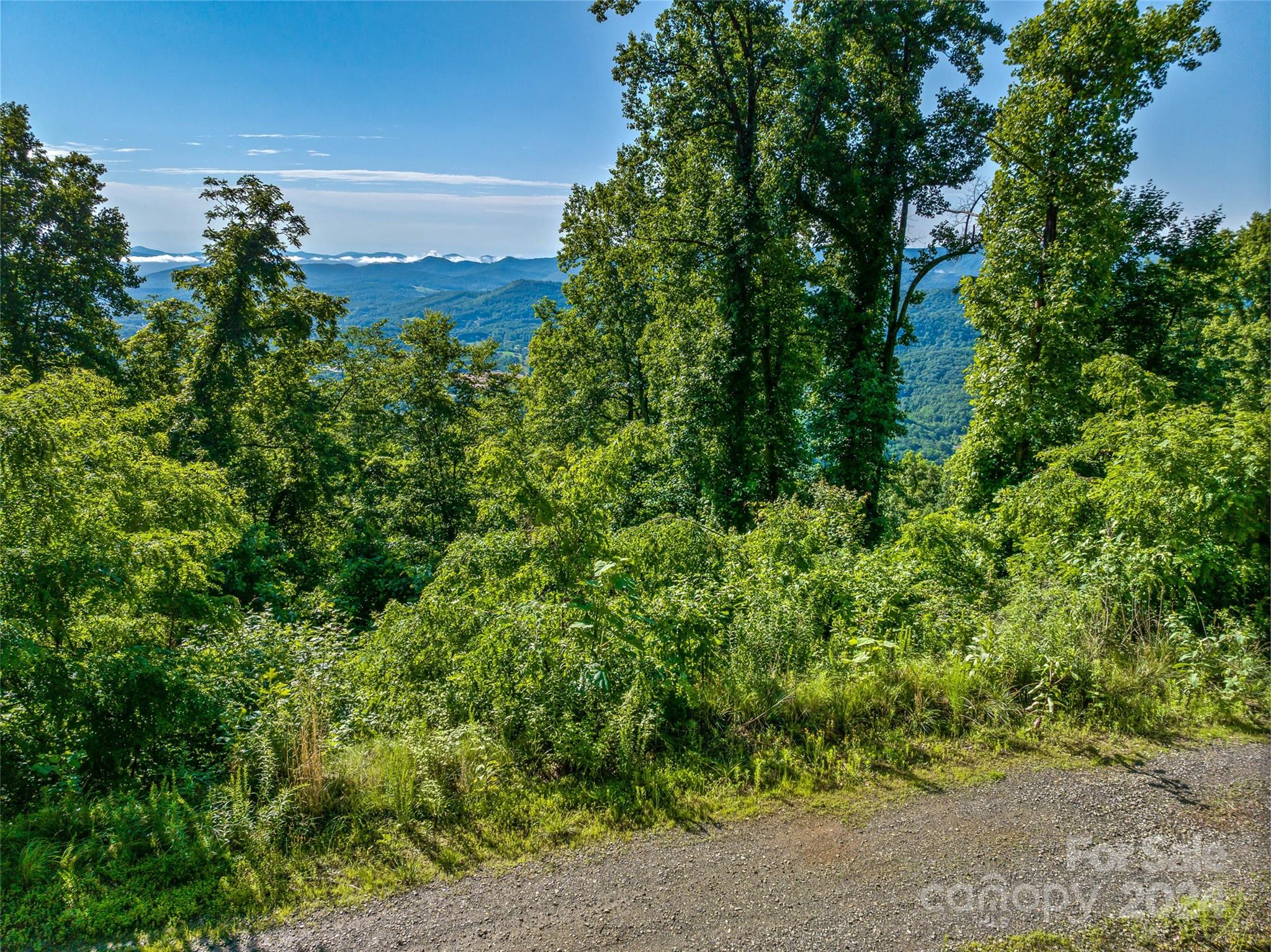 Lot at 9999-28 Lovebird Lane, Canton, photo 10 of 22