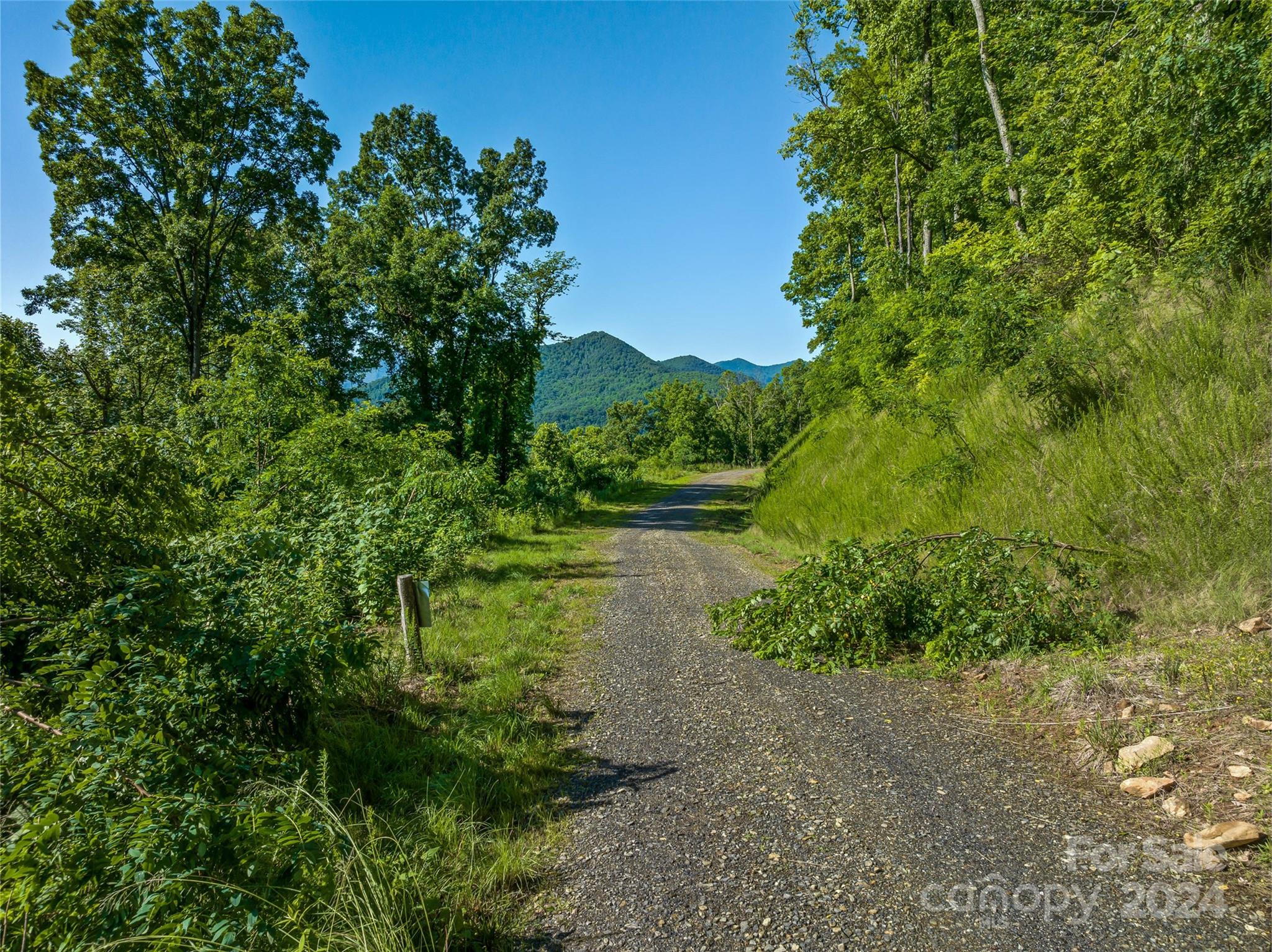 Lot at 9999-28 Lovebird Lane, Canton, photo 15 of 22