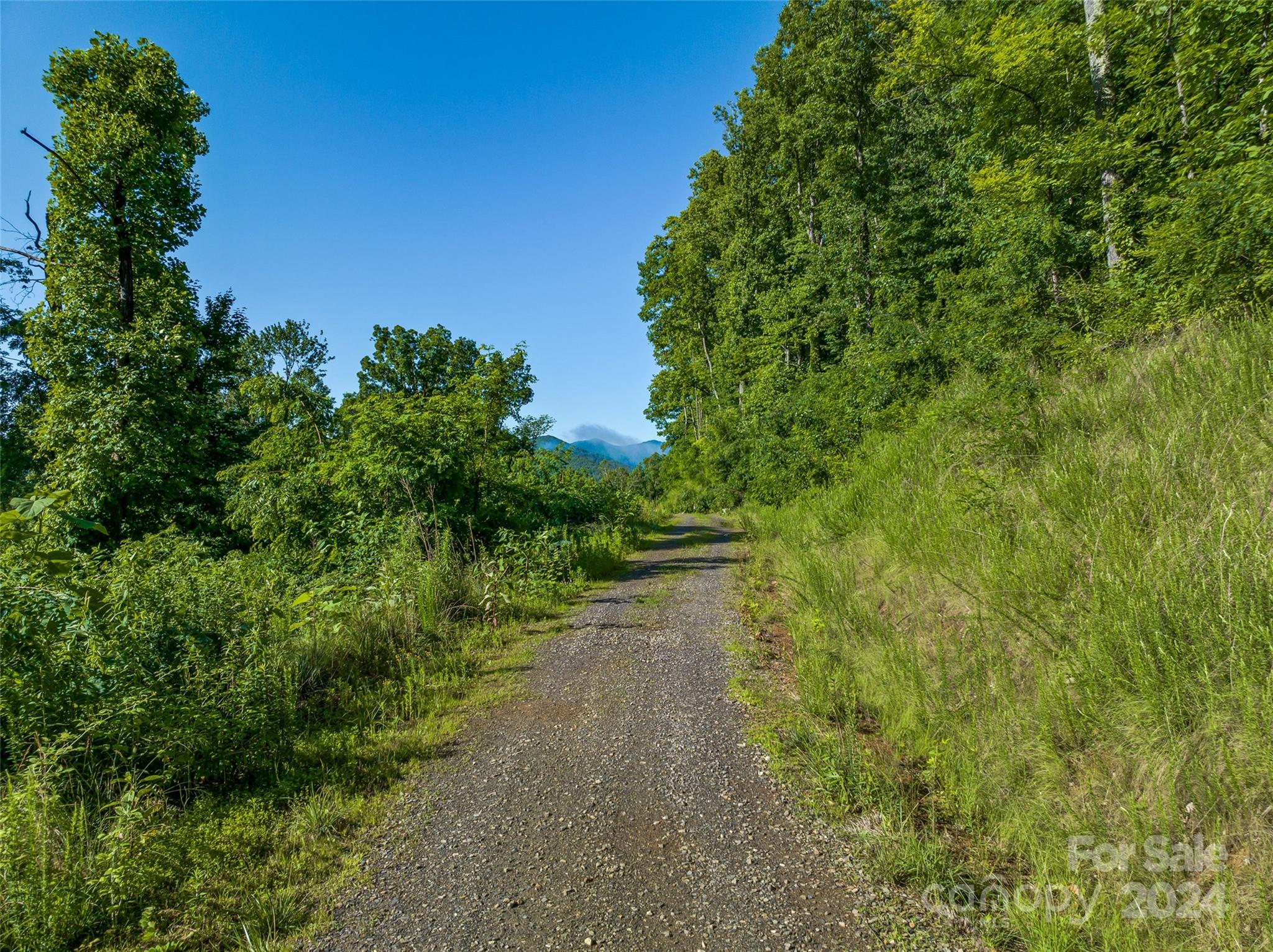 Lot at 9999-28 Lovebird Lane, Canton, photo 18 of 22