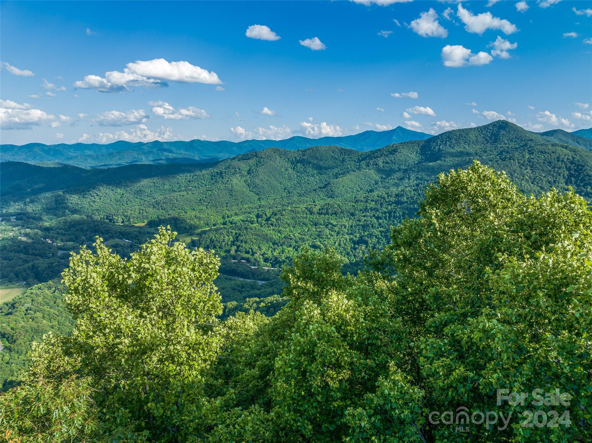Lot at 9999-29 Lovebird Lane, Canton, photo 4 of 22