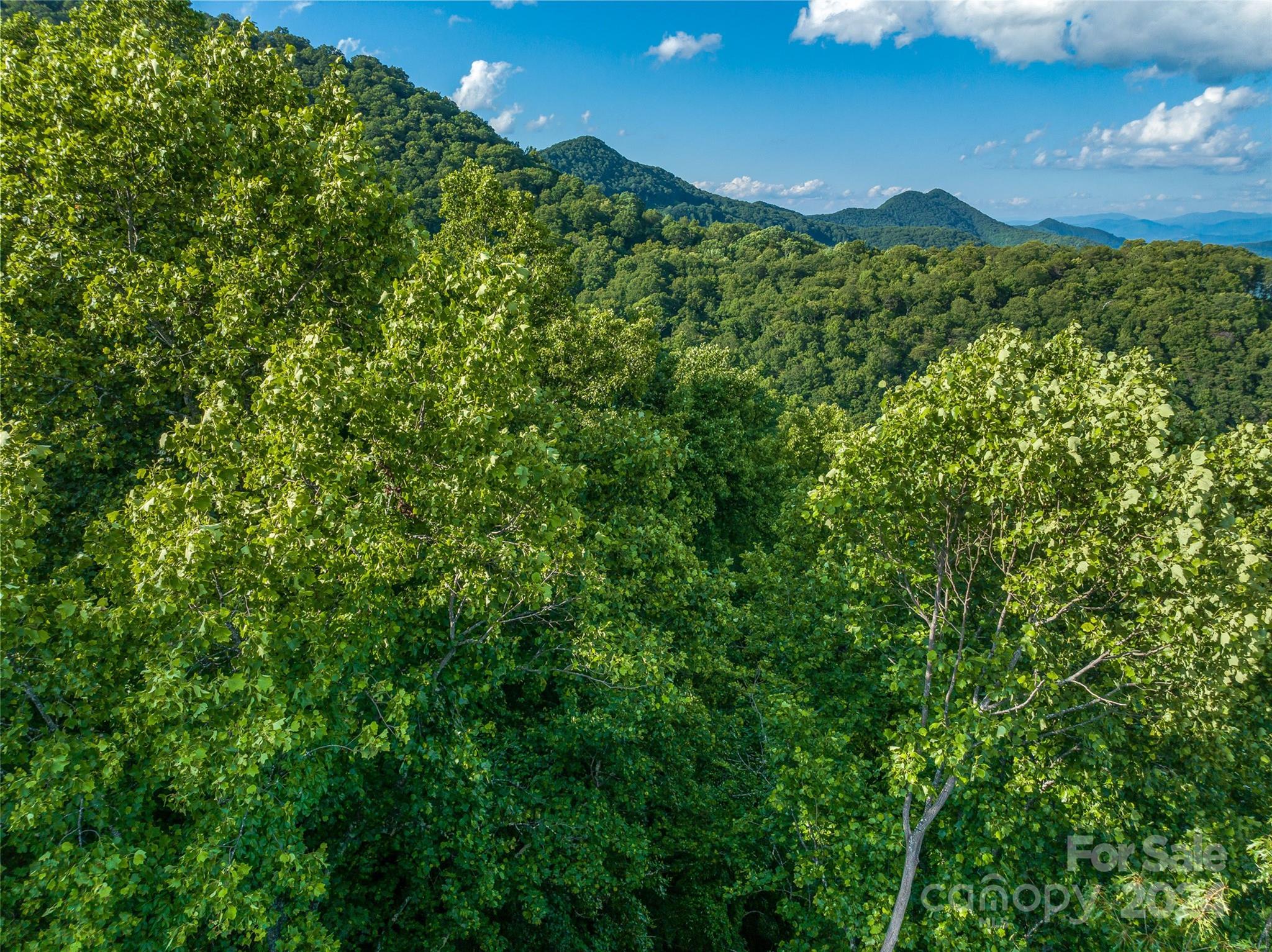 Lot at 9999-29 Lovebird Lane, Canton, photo 8 of 22