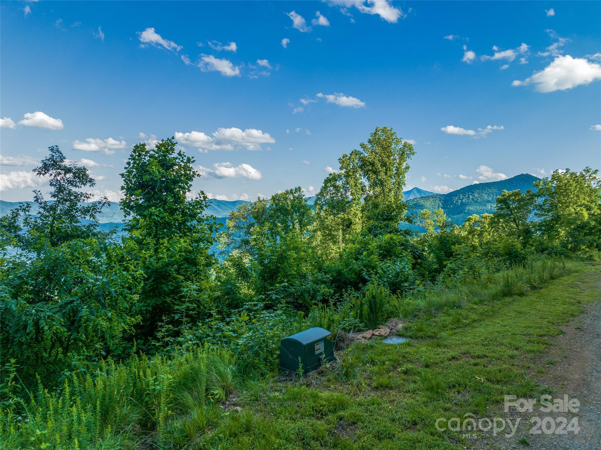 Lot at 9999-29 Lovebird Lane, Canton, photo 10 of 22