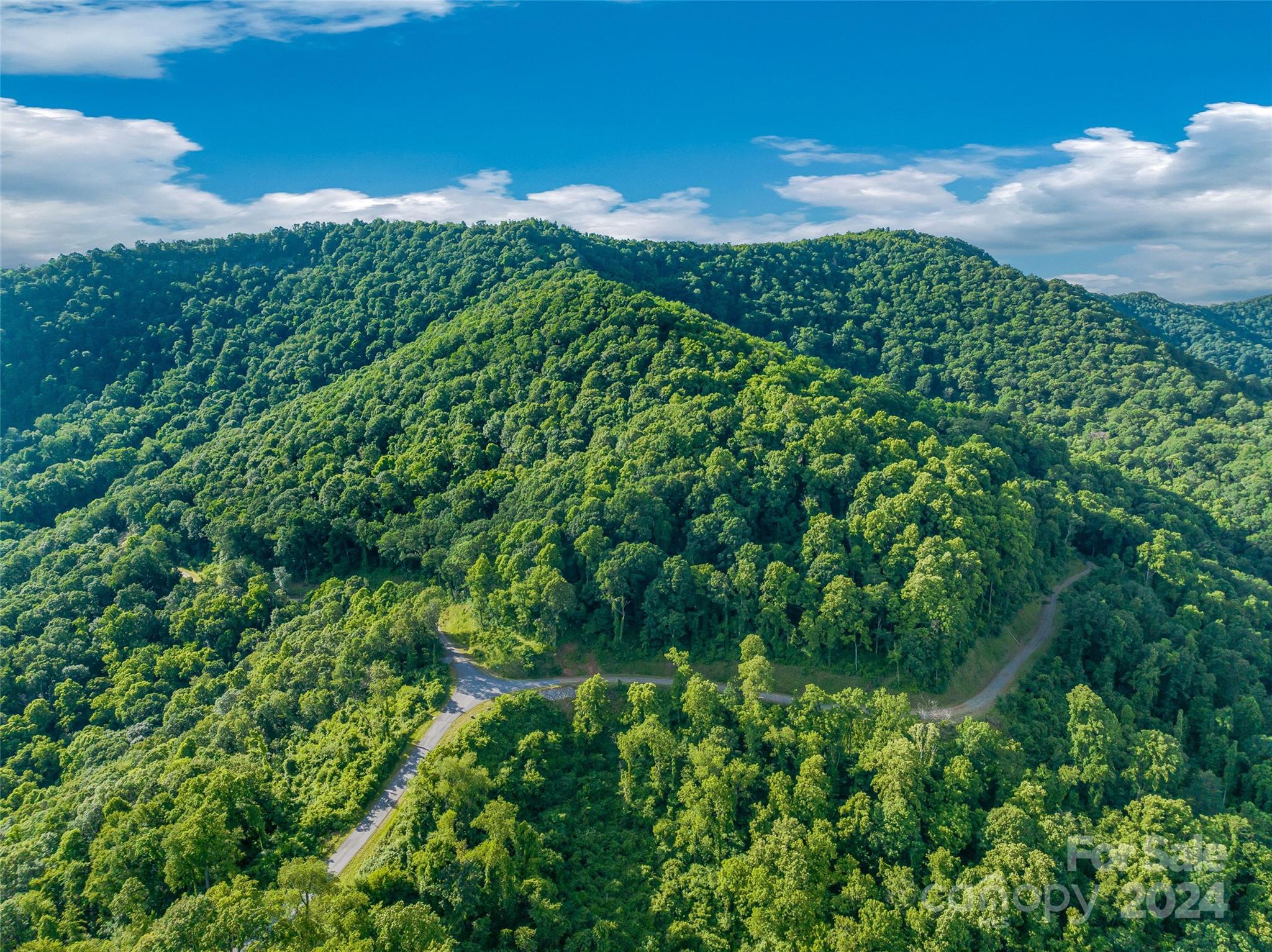 Lot at 9999-29 Lovebird Lane, Canton, photo 19 of 22