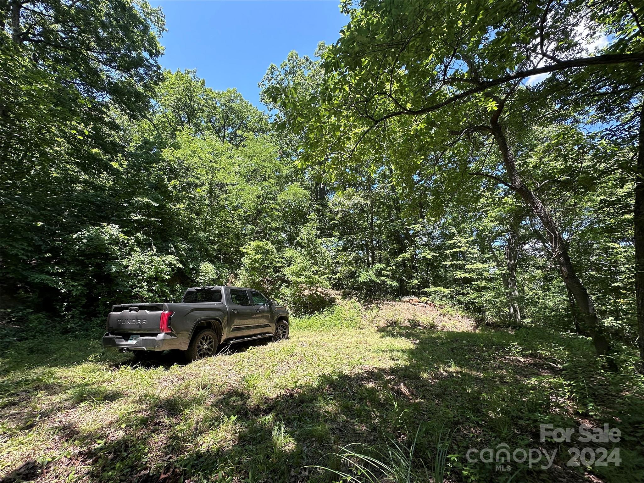 Acreage at 000 Destiny Farms Road, Leicester, photo 29 of 48