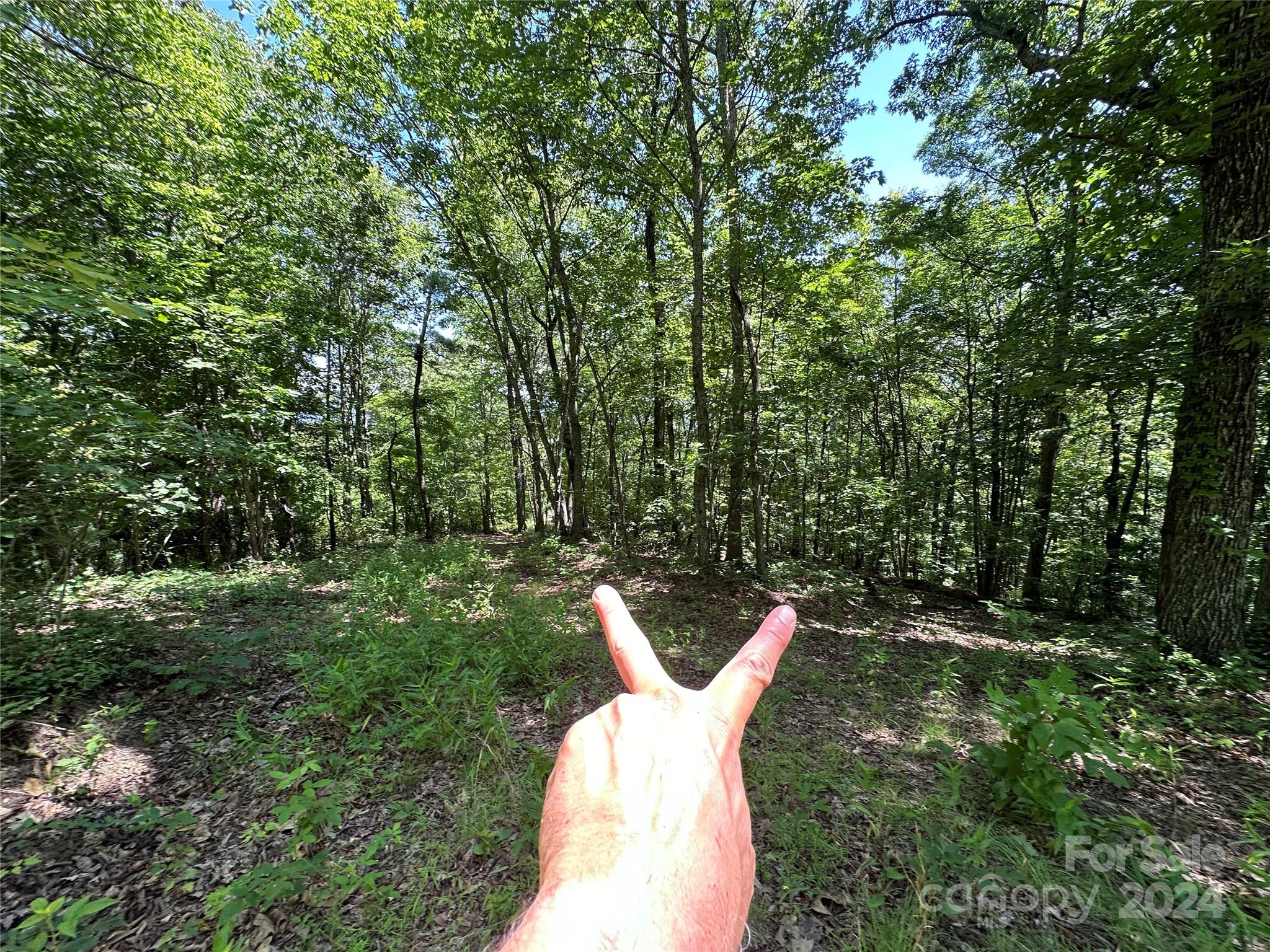 Acreage at 000 Destiny Farms Road, Leicester, photo 34 of 48