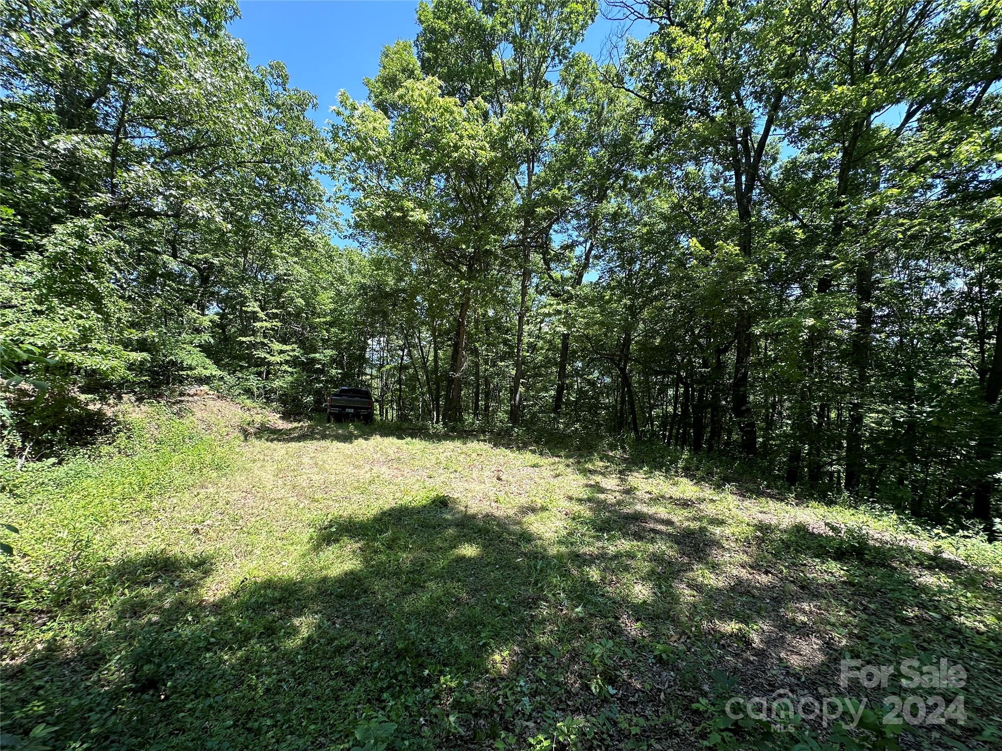 Acreage at 000 Destiny Farms Road, Leicester, photo 39 of 48