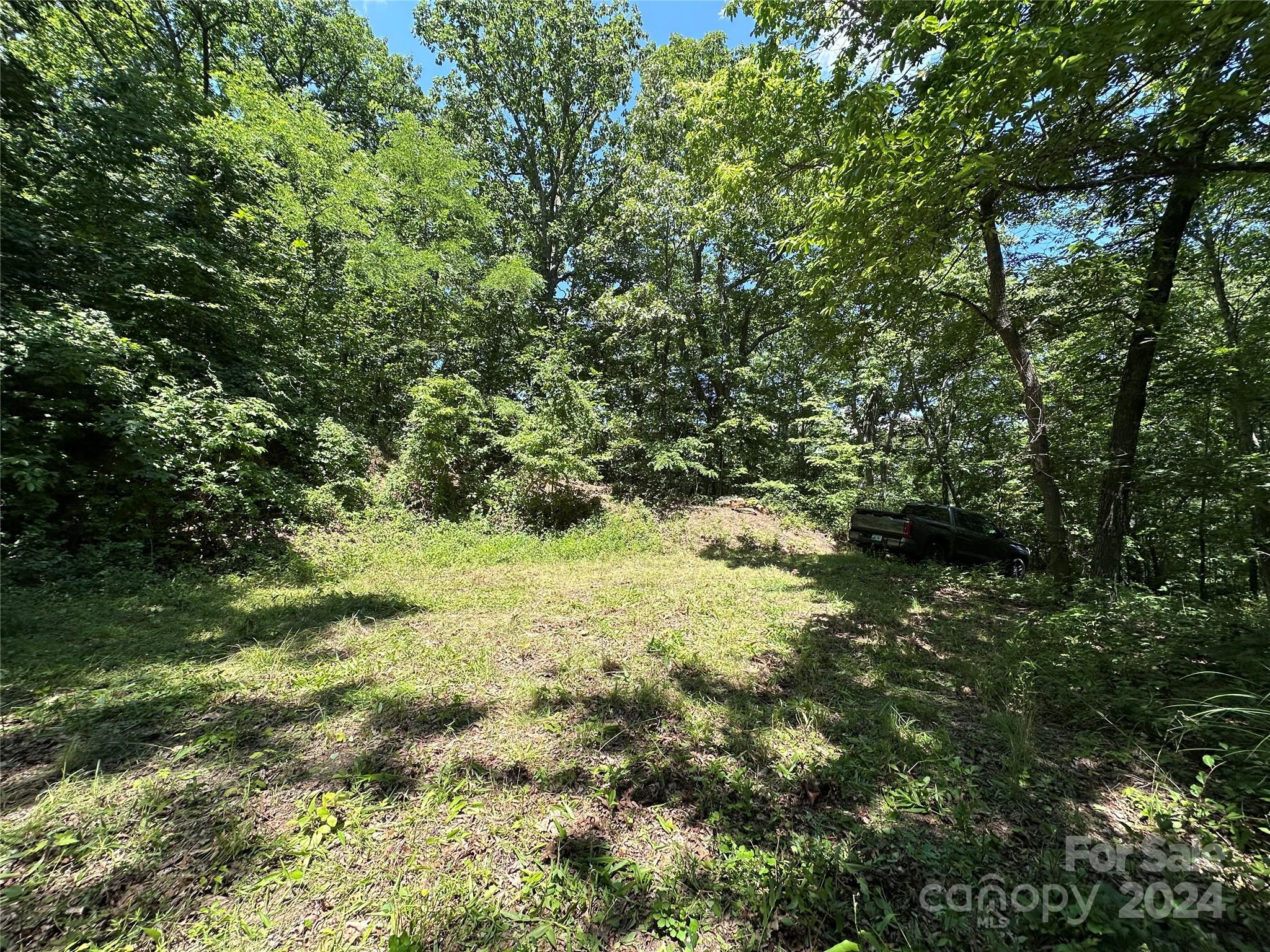 Acreage at 000 Destiny Farms Road, Leicester, photo 40 of 48