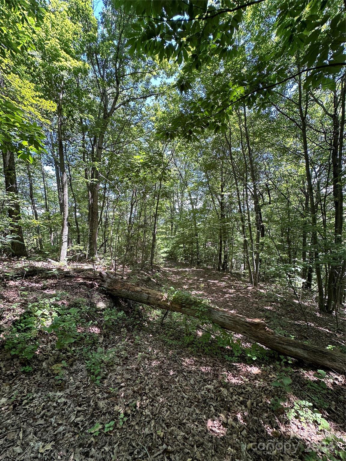 Acreage at 000 Destiny Farms Road, Leicester, photo 43 of 48