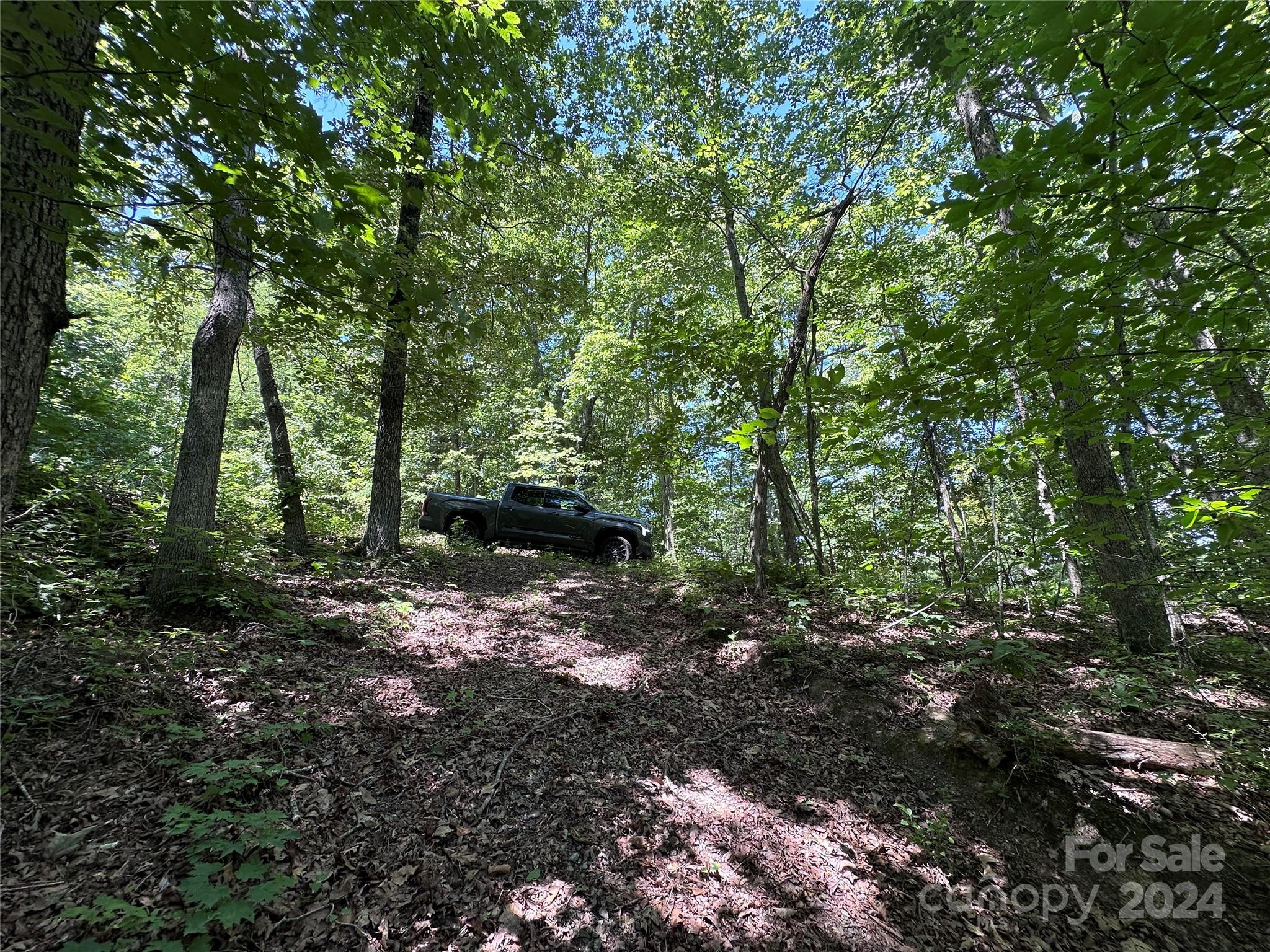 Acreage at 000 Destiny Farms Road, Leicester, photo 44 of 48