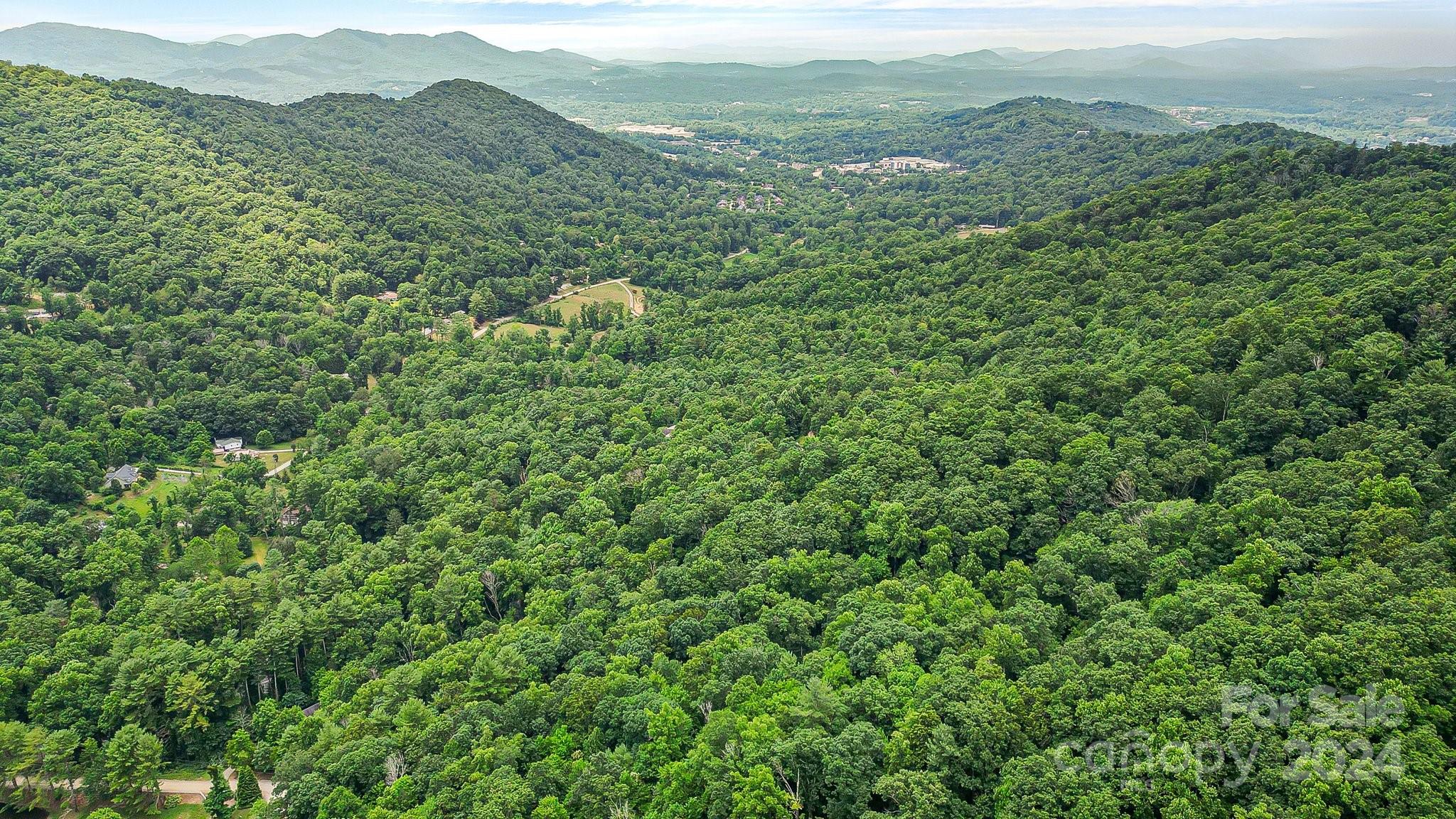 Acreage at 99999 Vance Gap Road, Asheville, photo 7 of 23