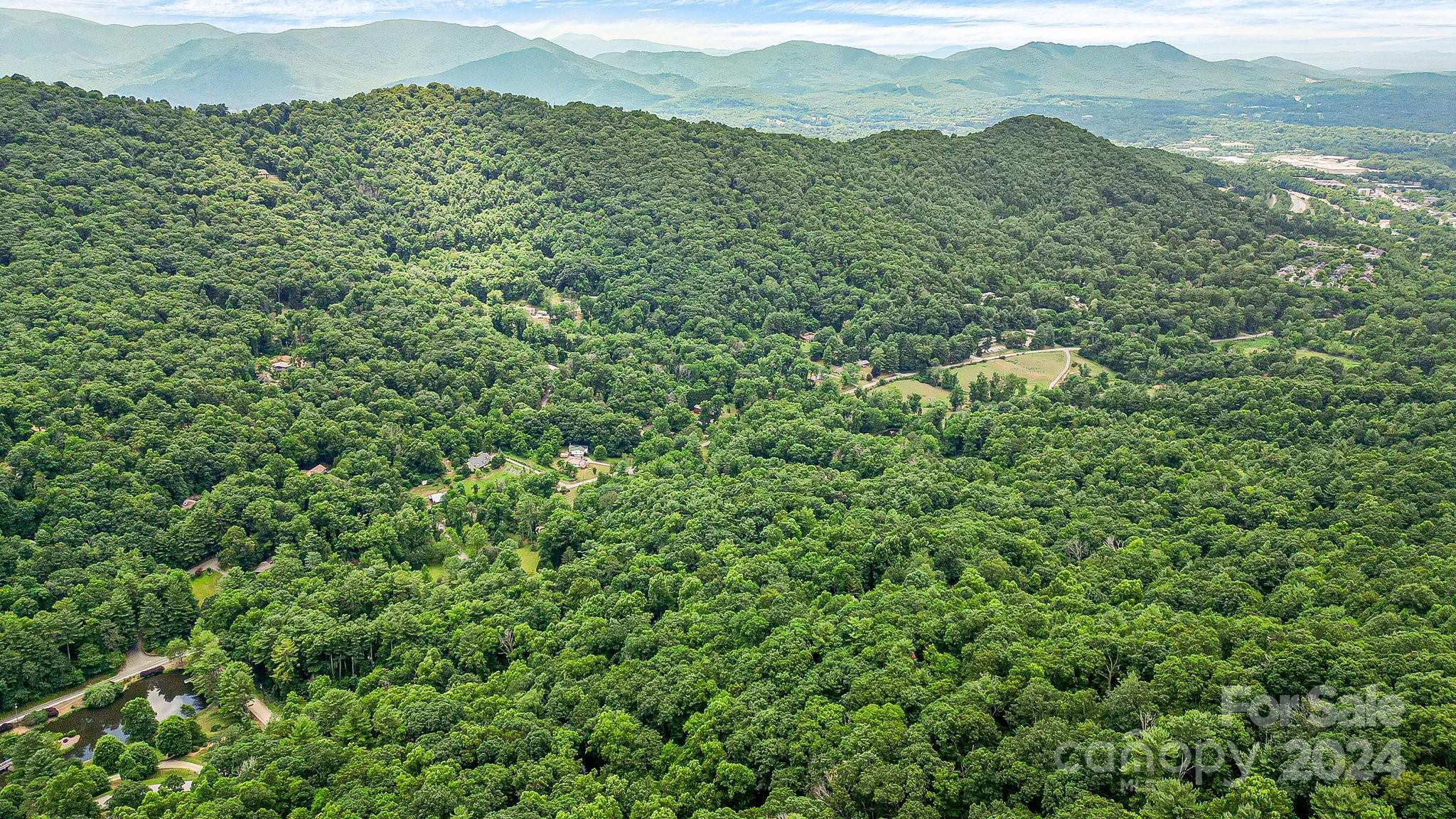 Acreage at 99999 Vance Gap Road, Asheville, photo 8 of 23