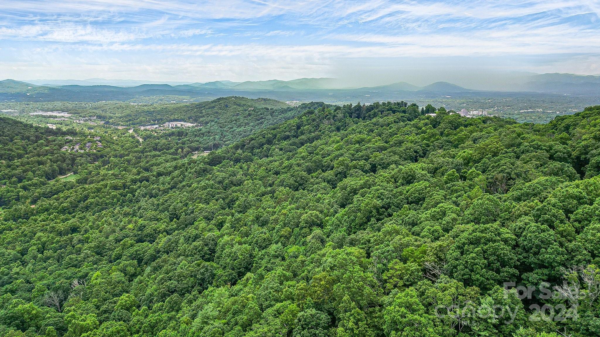 Acreage at 99999 Vance Gap Road, Asheville, photo 9 of 23