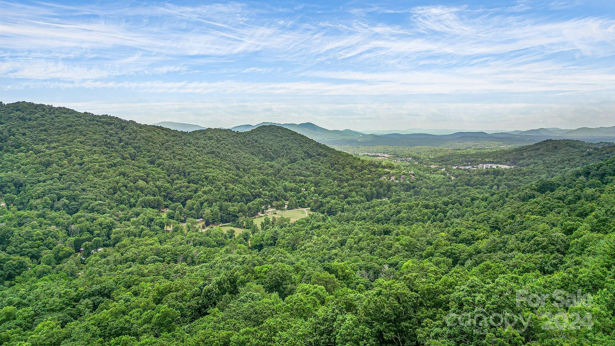 Acreage at 99999 Vance Gap Road, Asheville, photo 10 of 23