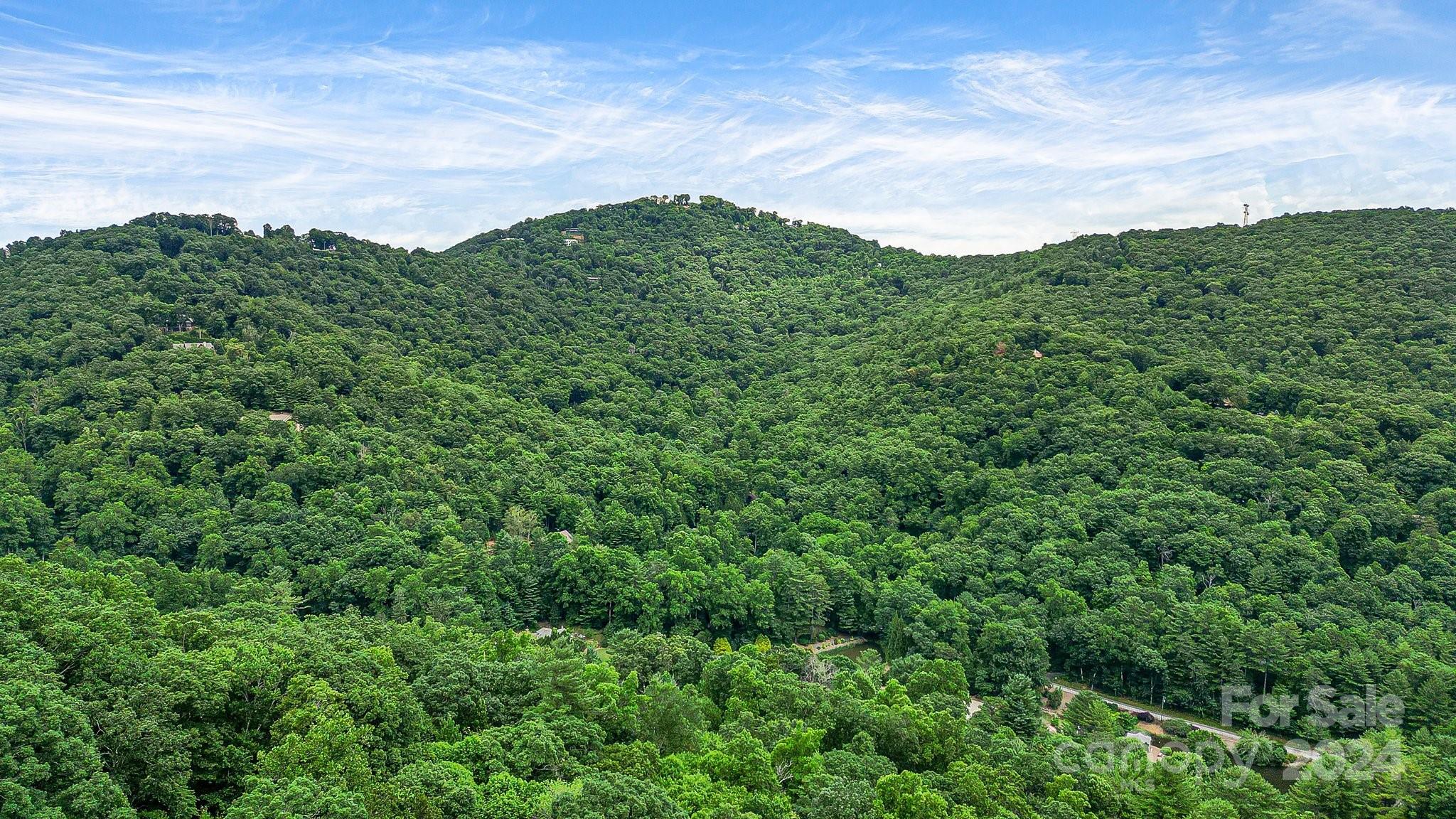 Acreage at 99999 Vance Gap Road, Asheville, photo 11 of 23