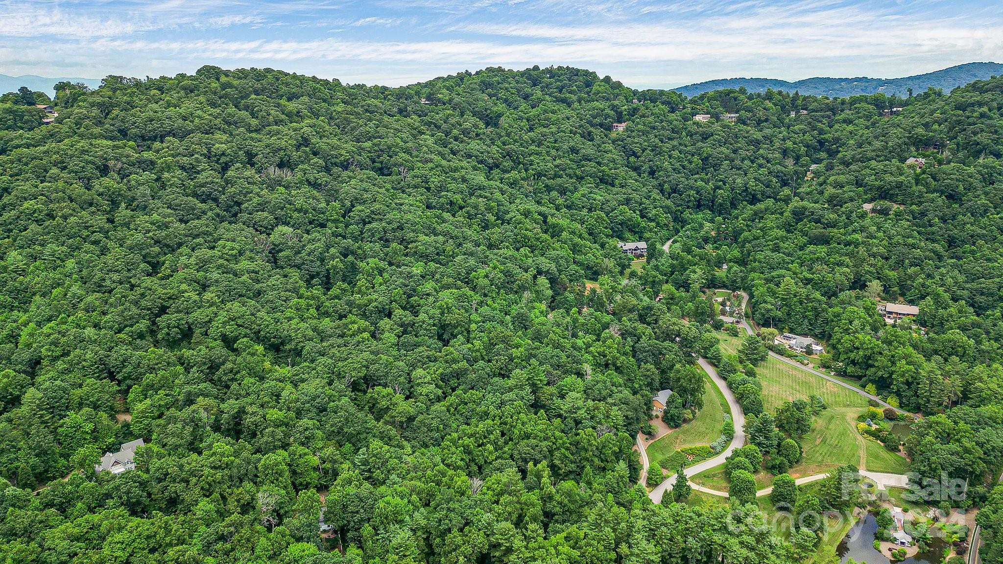 Acreage at 99999 Vance Gap Road, Asheville, photo 12 of 23