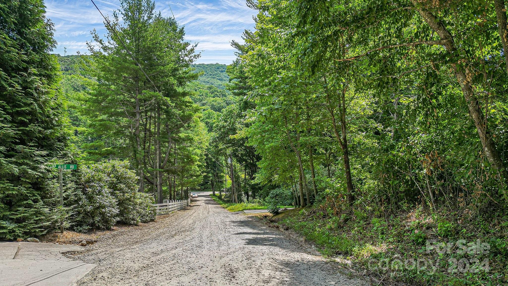 Acreage at 99999 Vance Gap Road, Asheville, photo 17 of 23