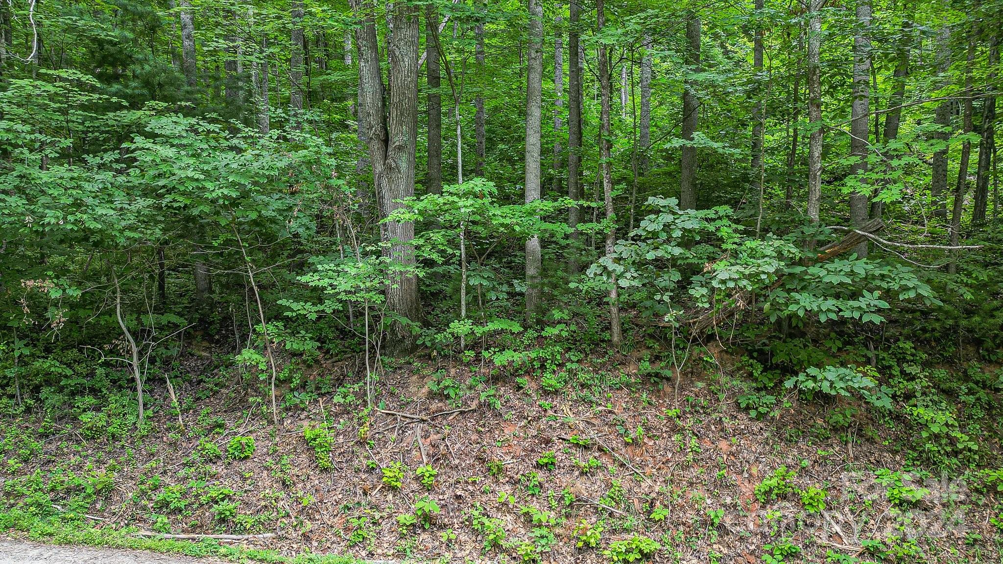 Acreage at 99999 Vance Gap Road, Asheville, photo 19 of 23