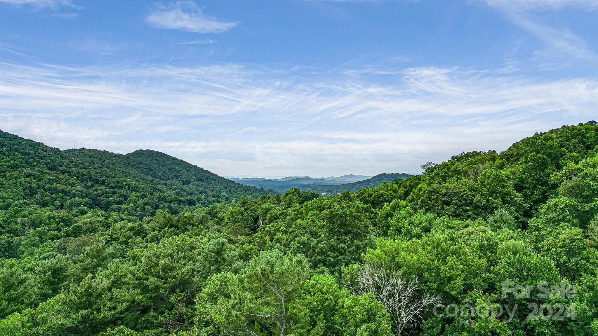 Acreage at 99999 Vance Gap Road, Asheville, photo 20 of 23