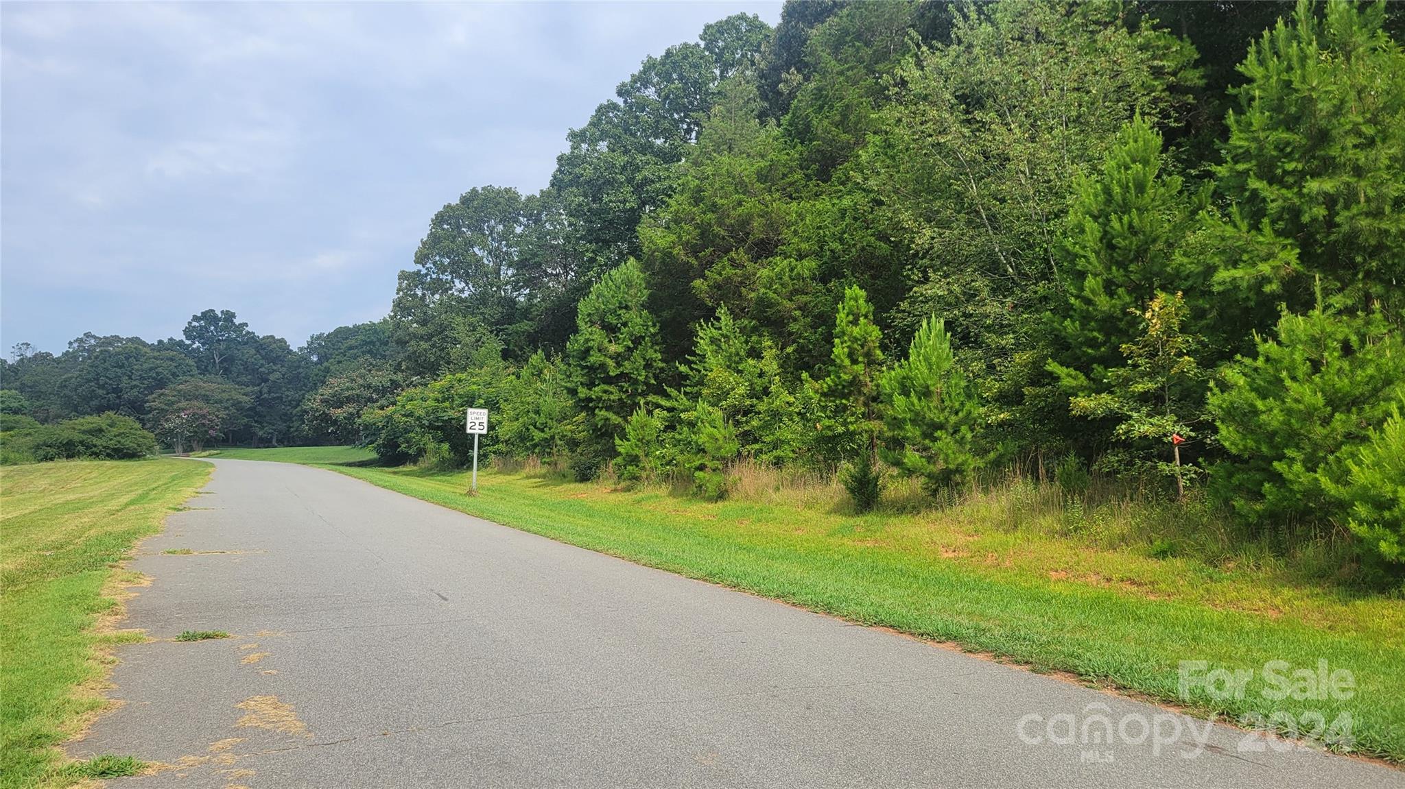 Acreage at 0 Eva Court, Lincolnton, photo 9 of 10