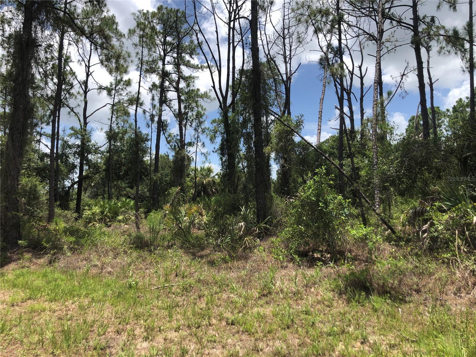Land at APRICOLA RD, NORTH PORT, photo 3 of 3