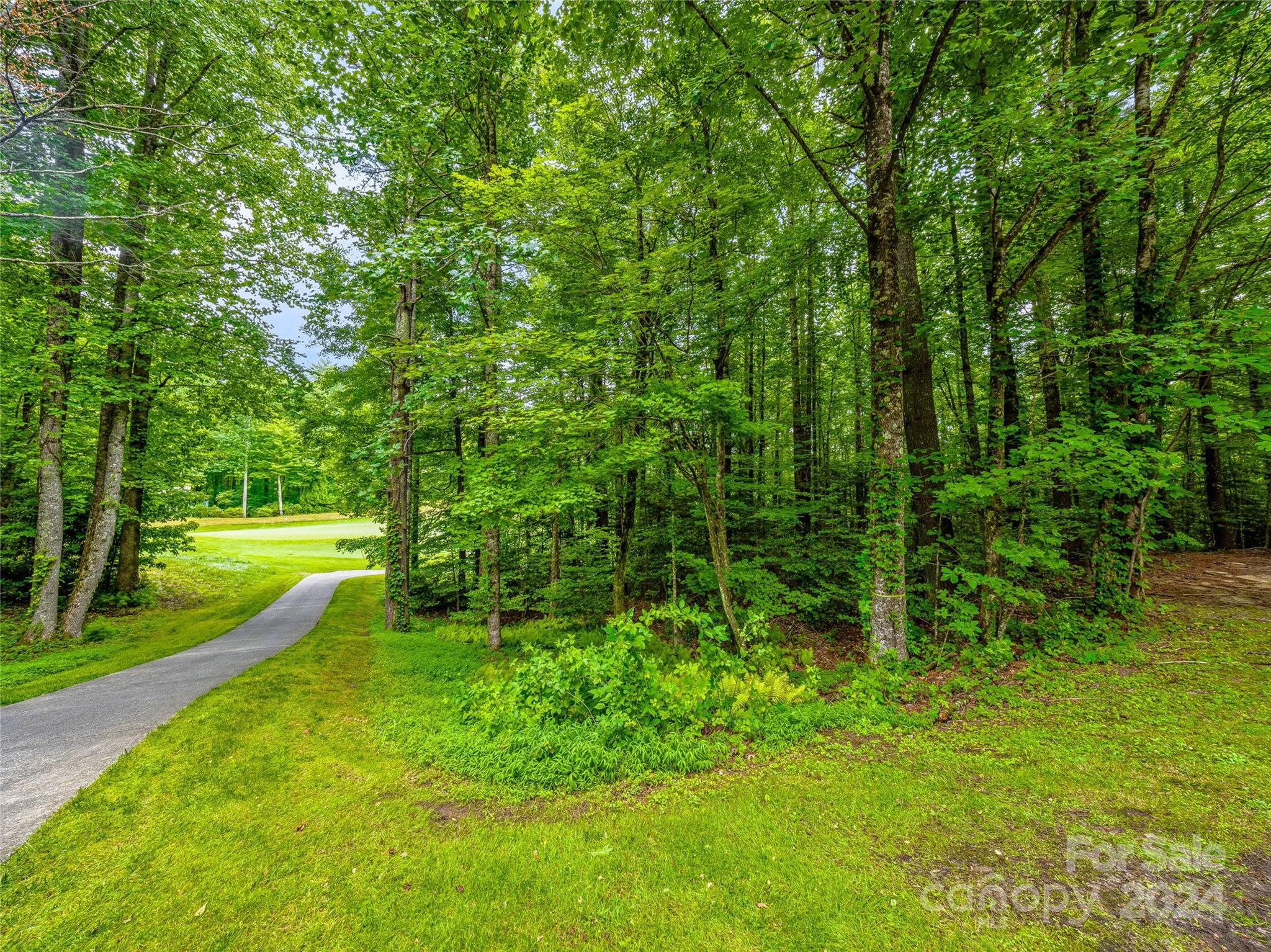 Lot at N 17 Mills Creek Trace, Lake Toxaway, photo 5 of 18