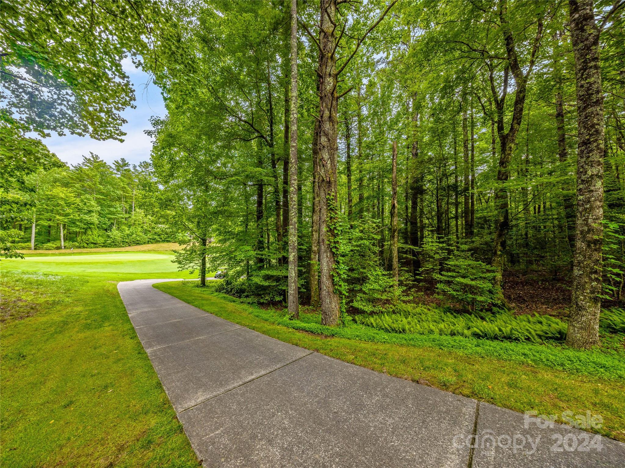 Lot at N 17 Mills Creek Trace, Lake Toxaway, photo 6 of 18