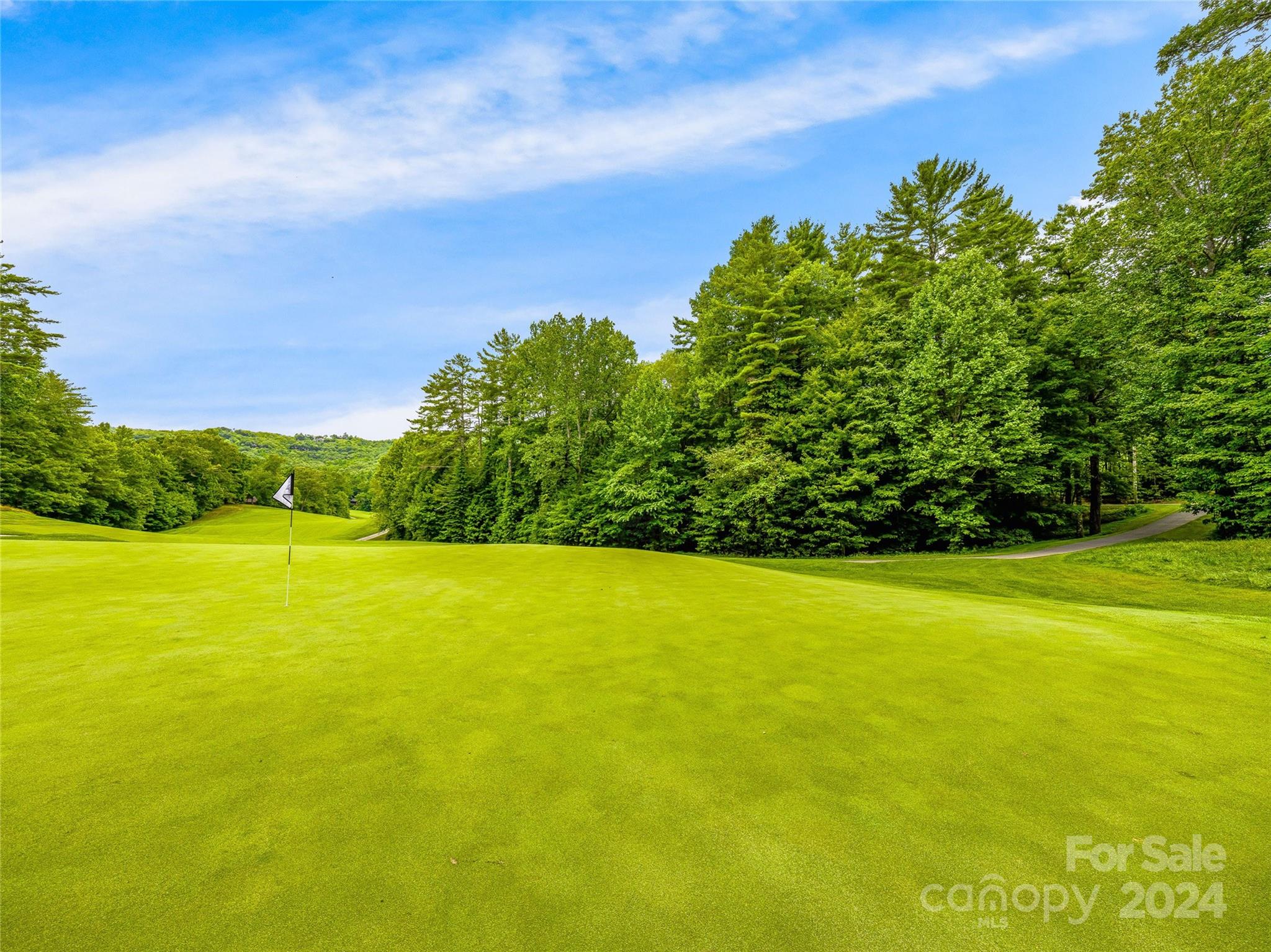 Lot at N 17 Mills Creek Trace, Lake Toxaway, photo 7 of 18