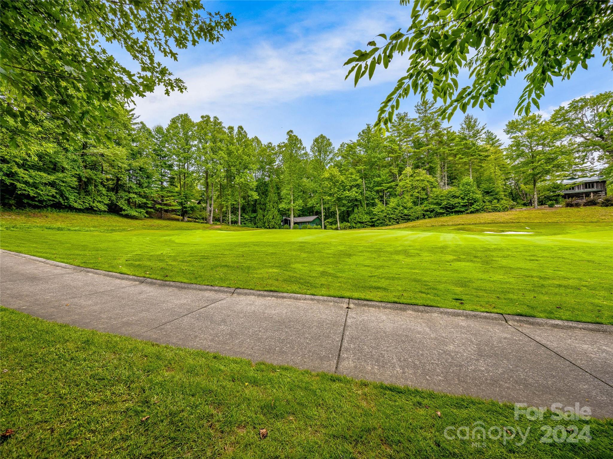 Lot at N 17 Mills Creek Trace, Lake Toxaway, photo 8 of 18