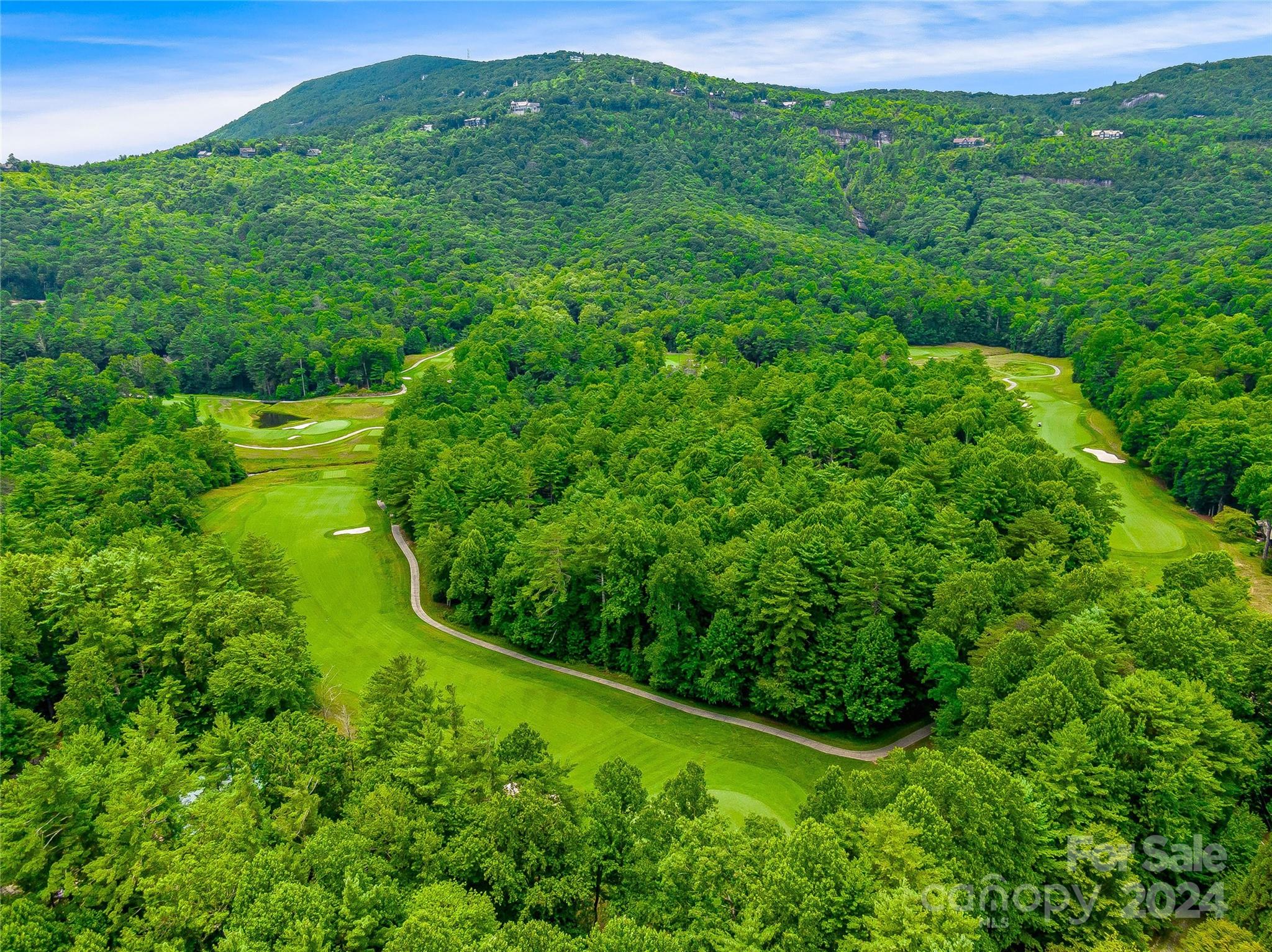 Lot at N 17 Mills Creek Trace, Lake Toxaway, photo 10 of 18