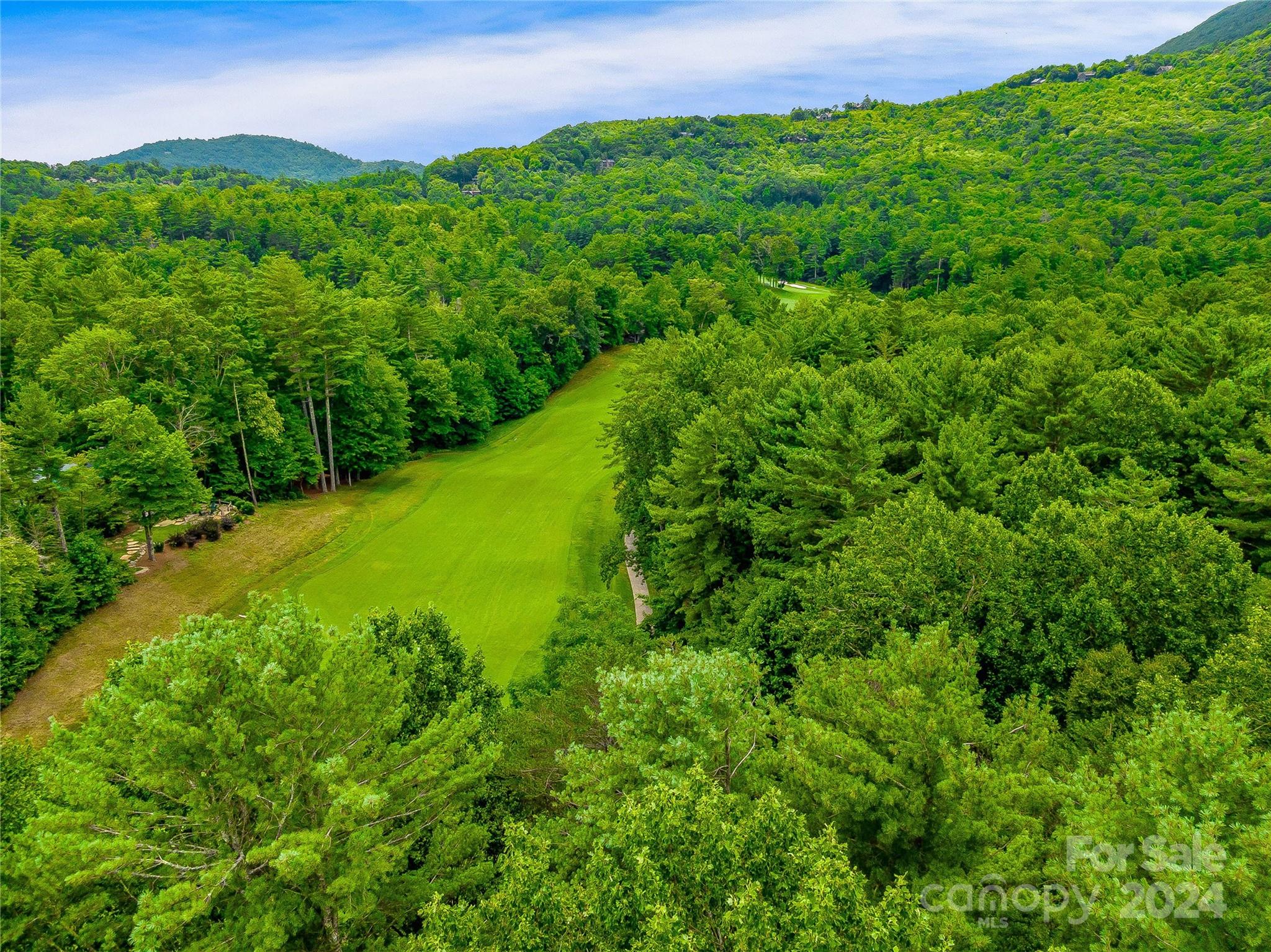 Lot at N 17 Mills Creek Trace, Lake Toxaway, photo 11 of 18