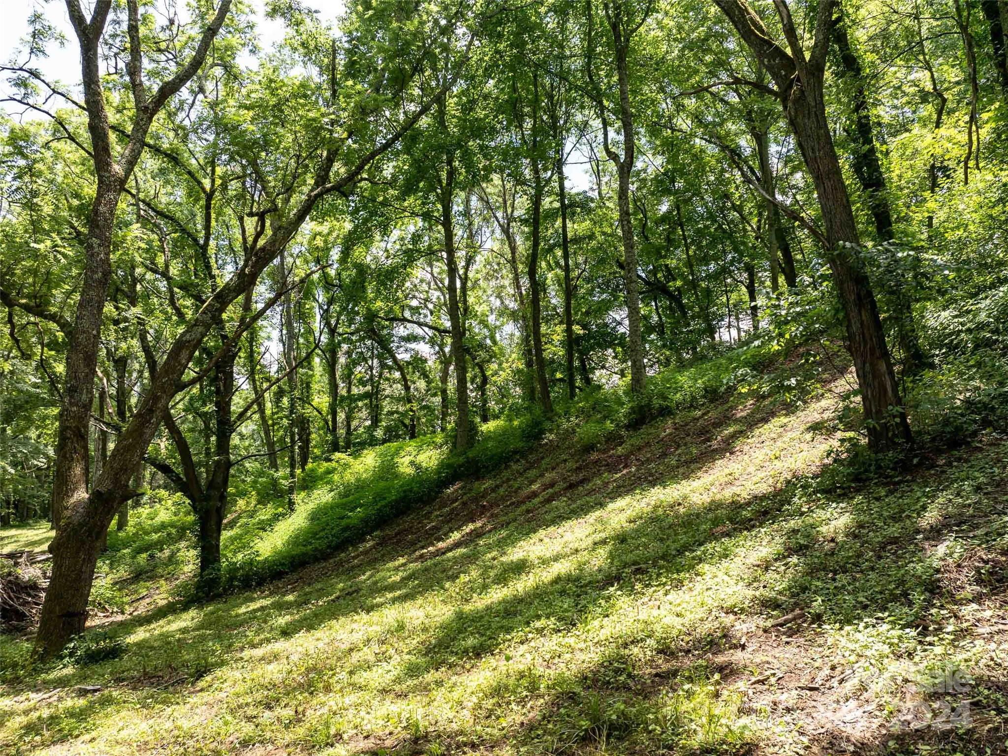 Acreage at 00 Hardy Branch Trail, Waynesville, photo 2 of 42