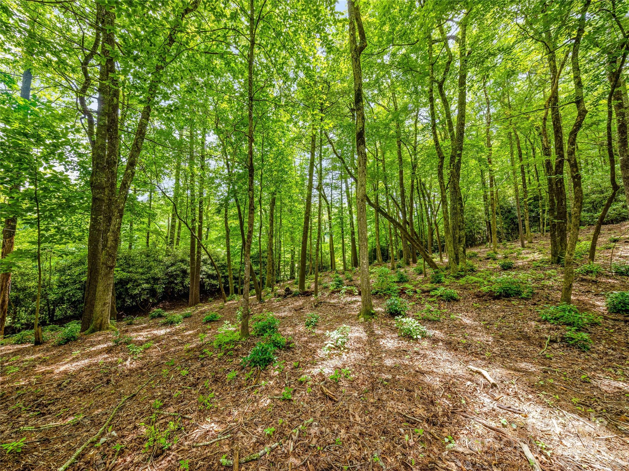 Lot at K 28 Chestnut Trace, Lake Toxaway, photo 7 of 18