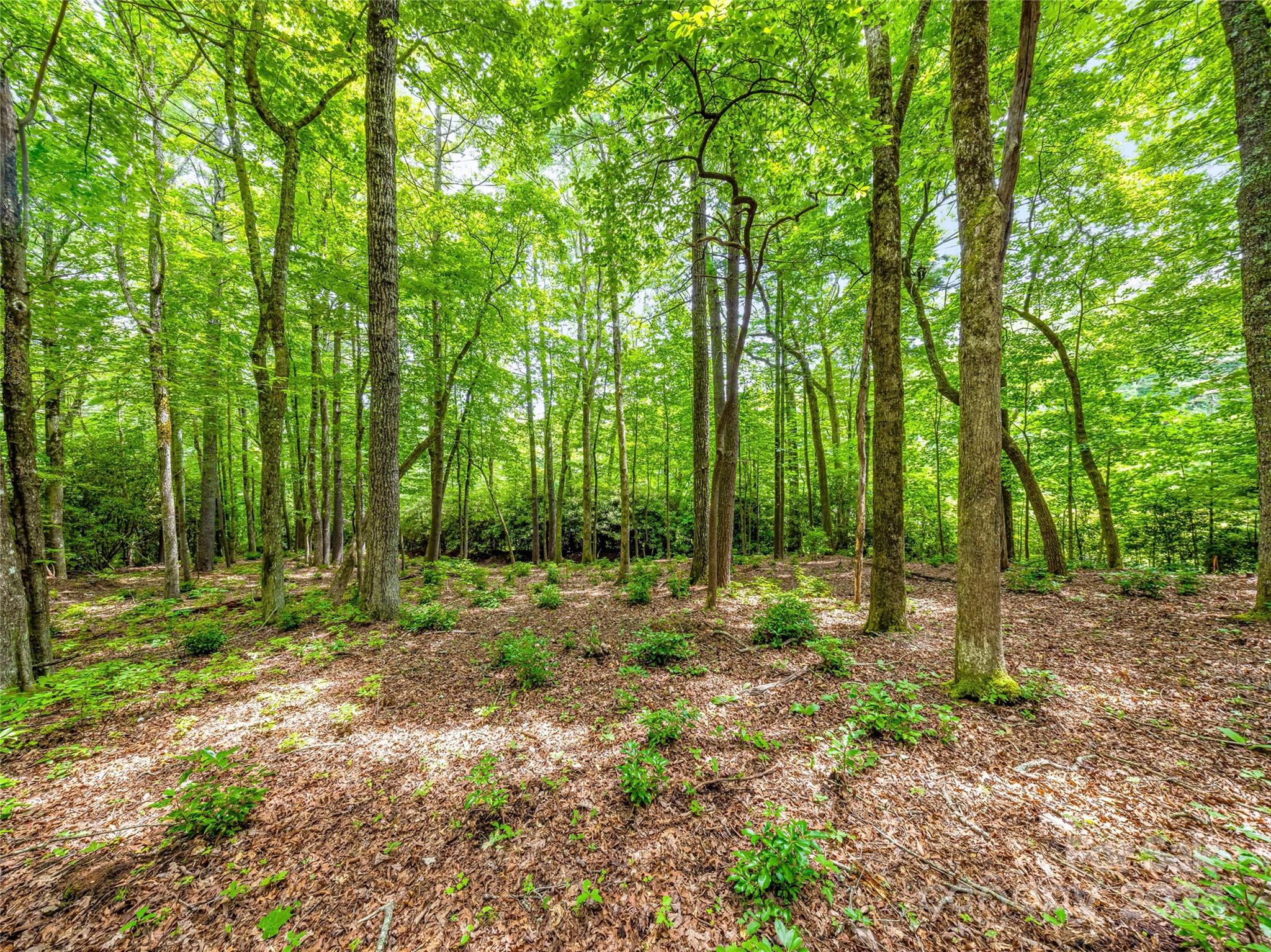 Lot at K 28 Chestnut Trace, Lake Toxaway, photo 8 of 18