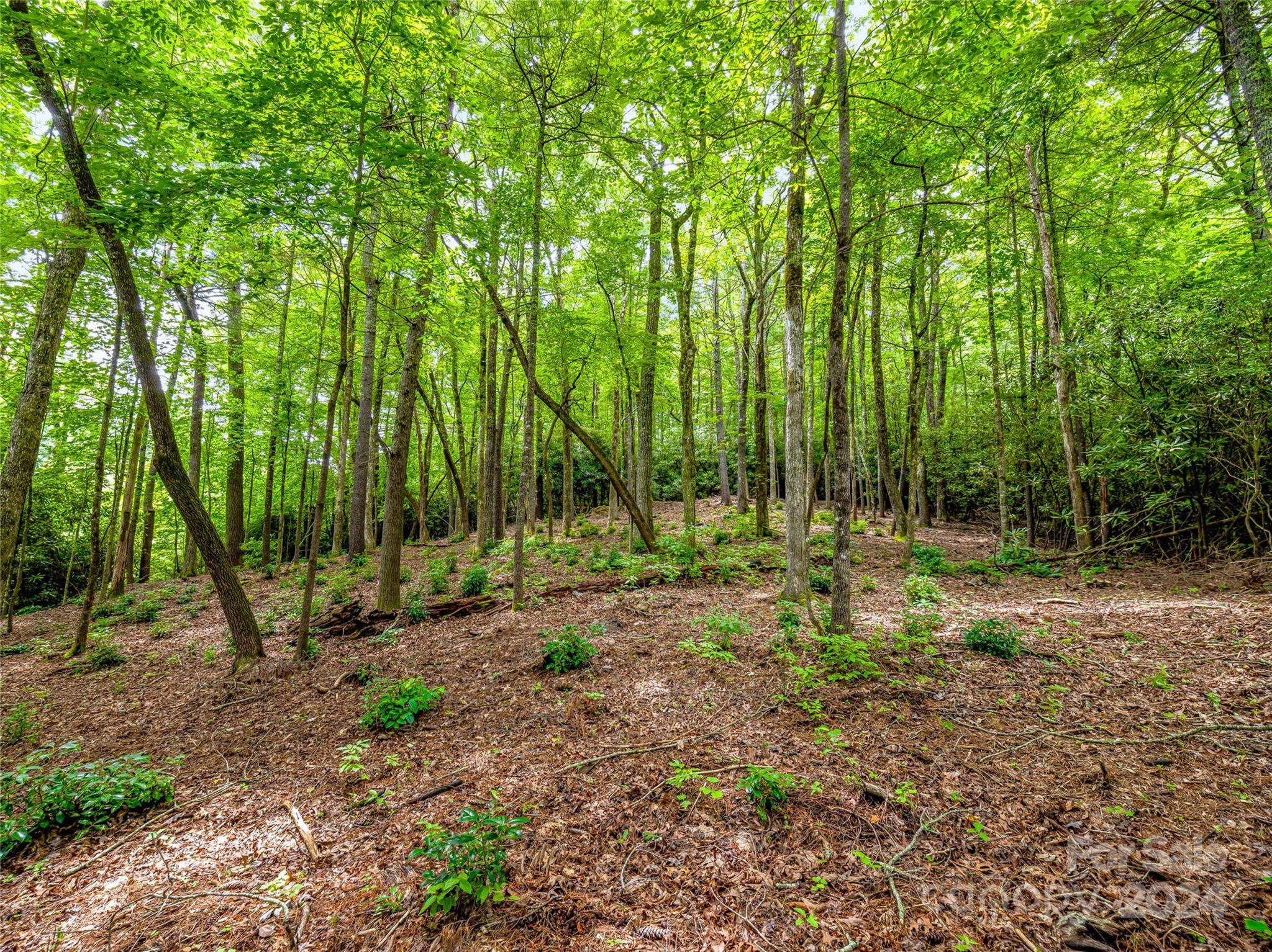 Lot at K 28 Chestnut Trace, Lake Toxaway, photo 9 of 18