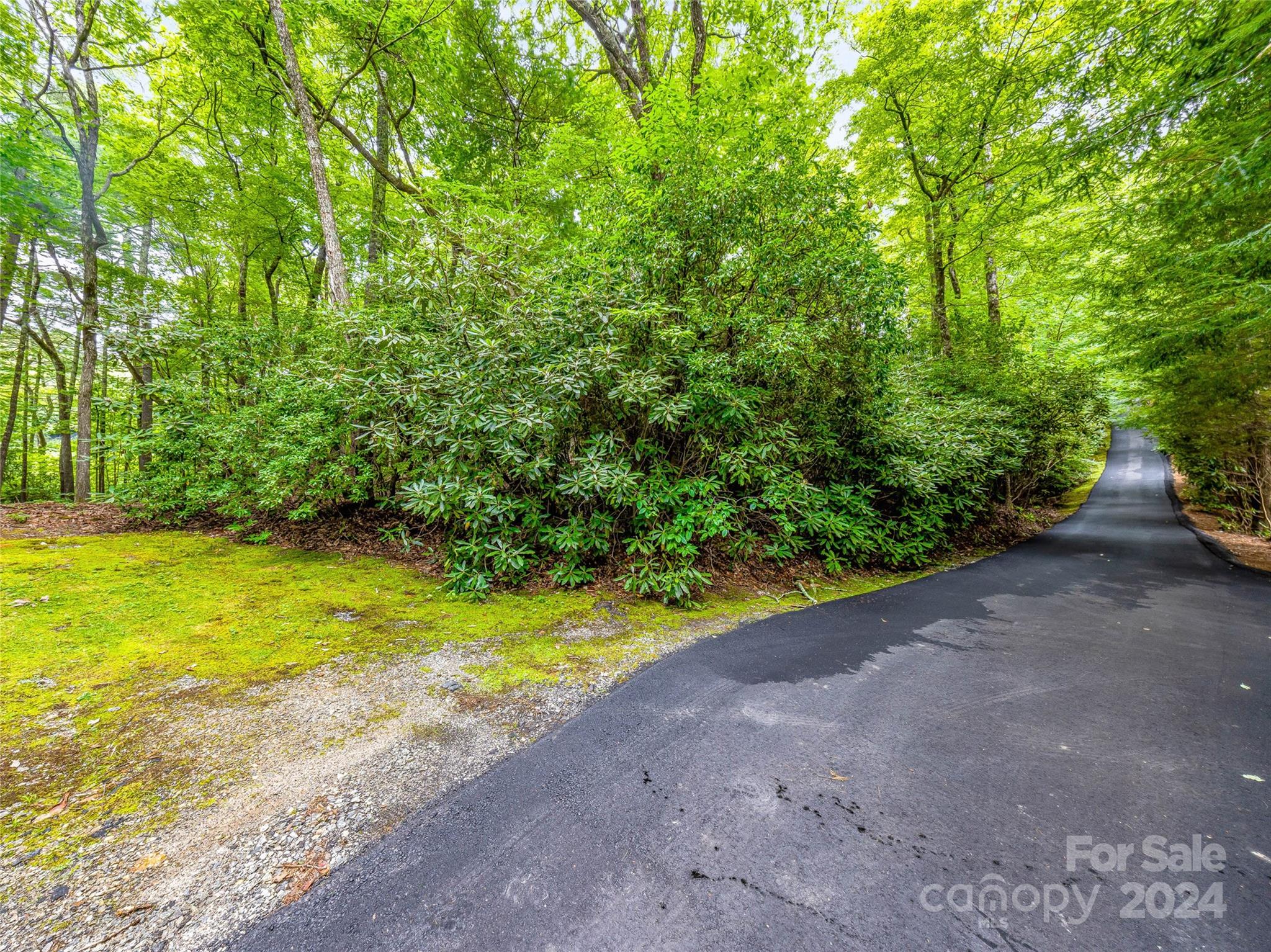 Lot at K 28 Chestnut Trace, Lake Toxaway, photo 10 of 18