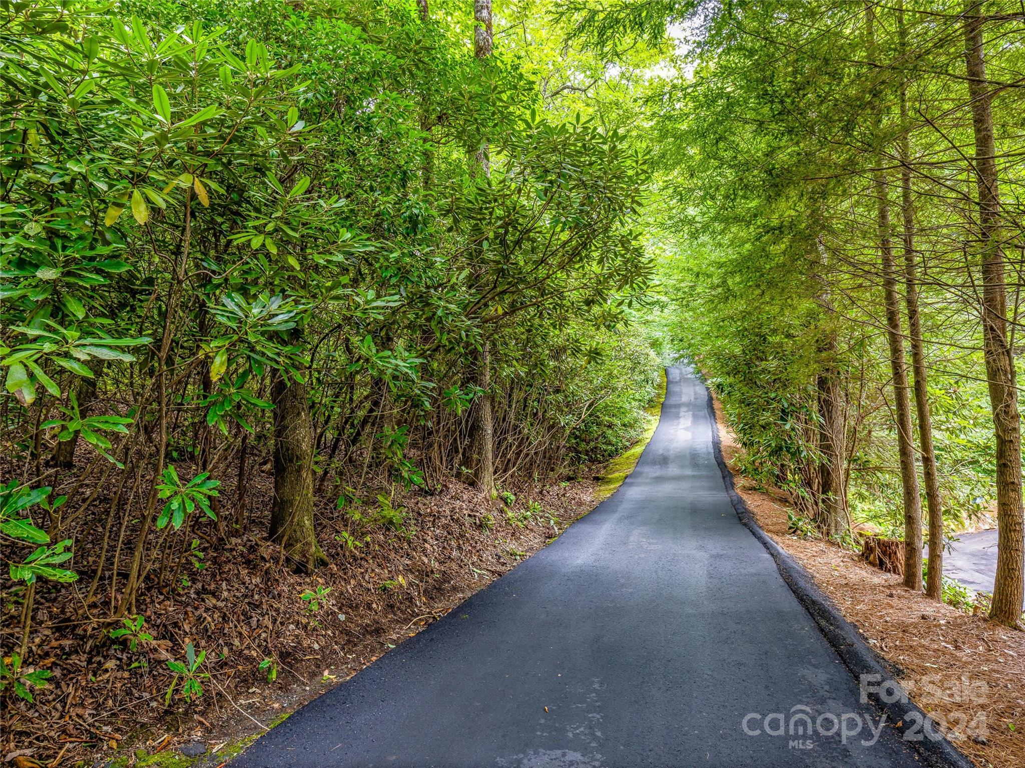 Lot at K 28 Chestnut Trace, Lake Toxaway, photo 11 of 18