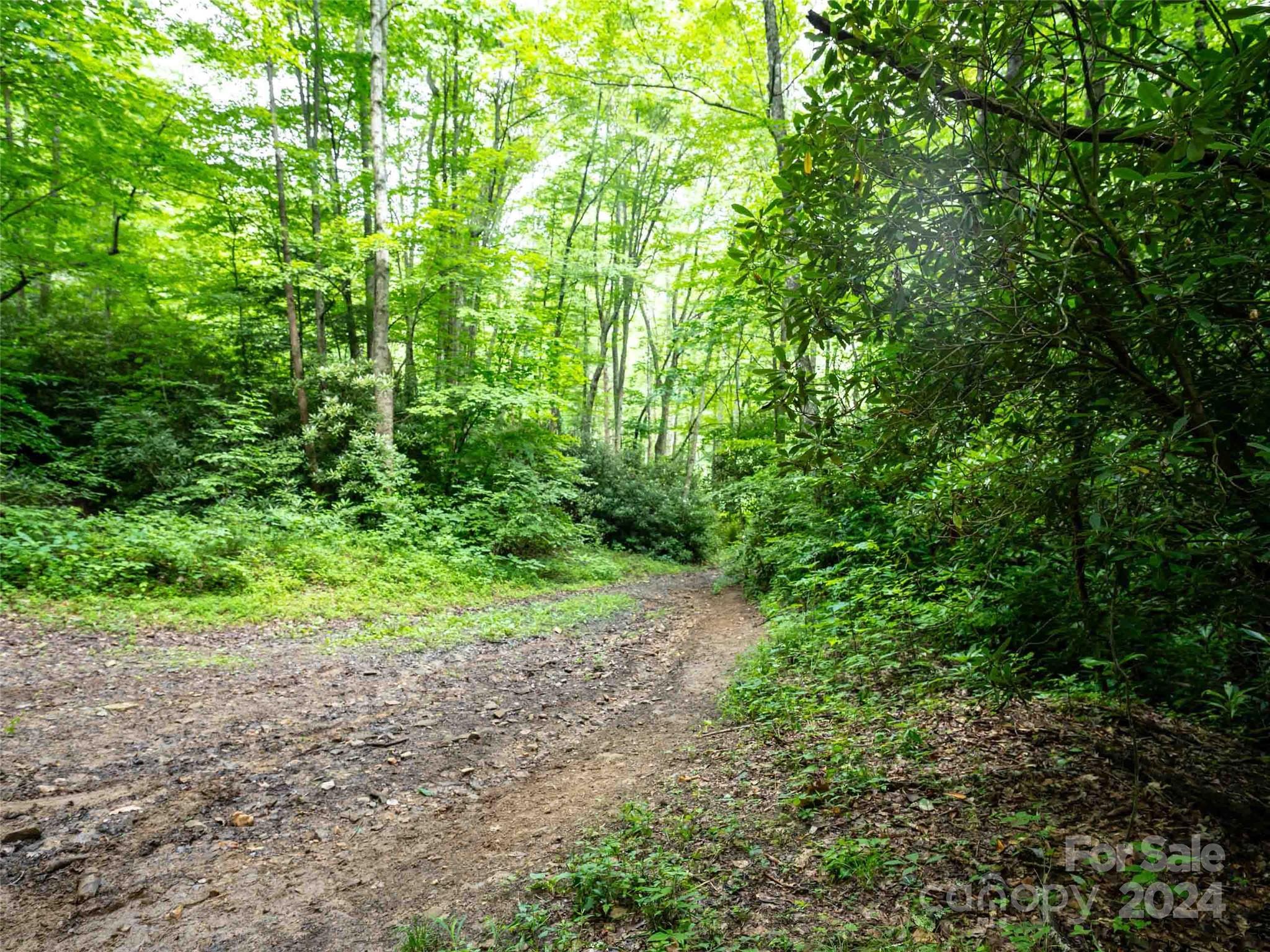 Acreage at 00 Waterwheel Cove, Clyde, photo 5 of 22