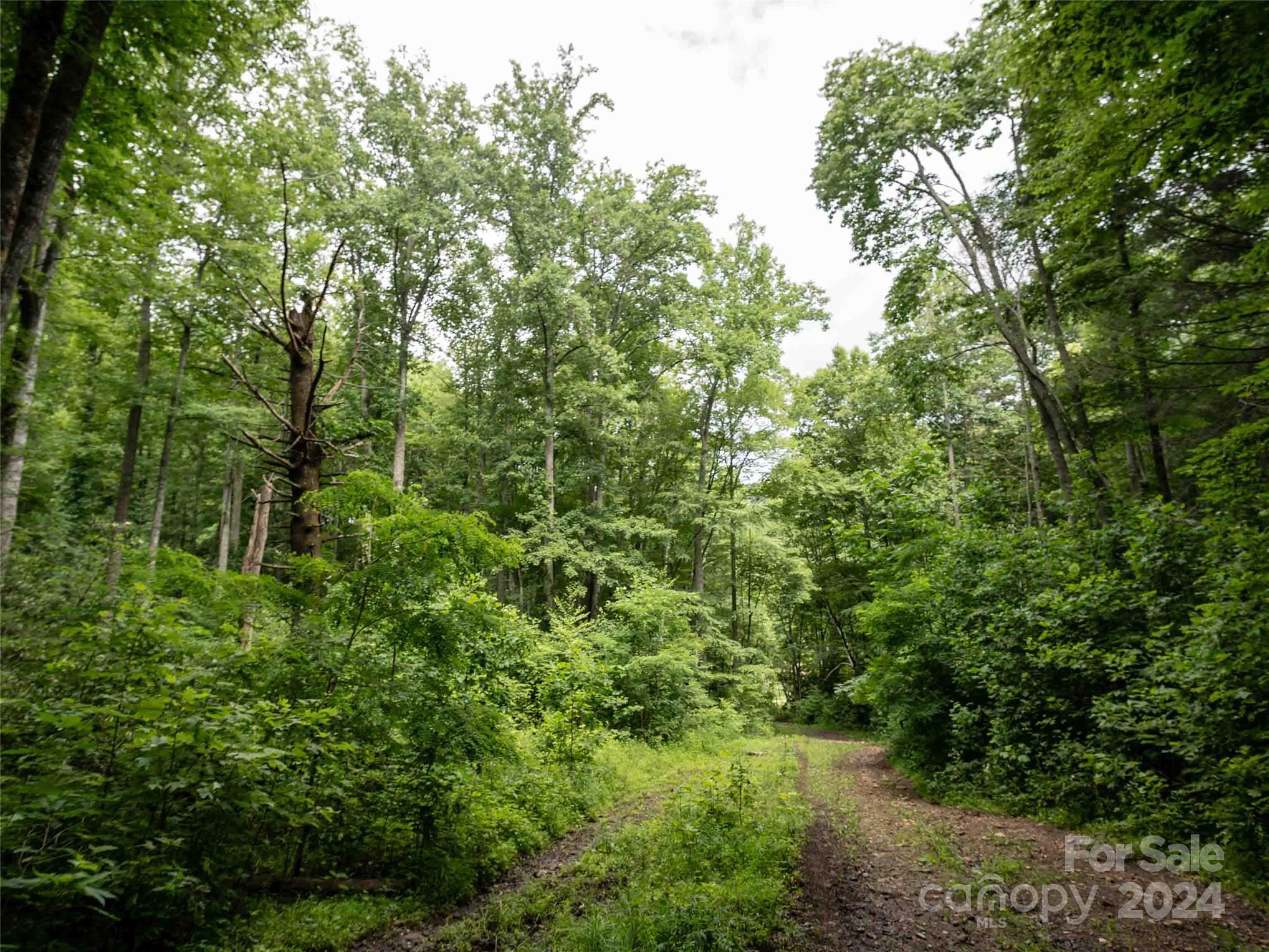 Acreage at 00 Waterwheel Cove, Clyde, photo 8 of 22