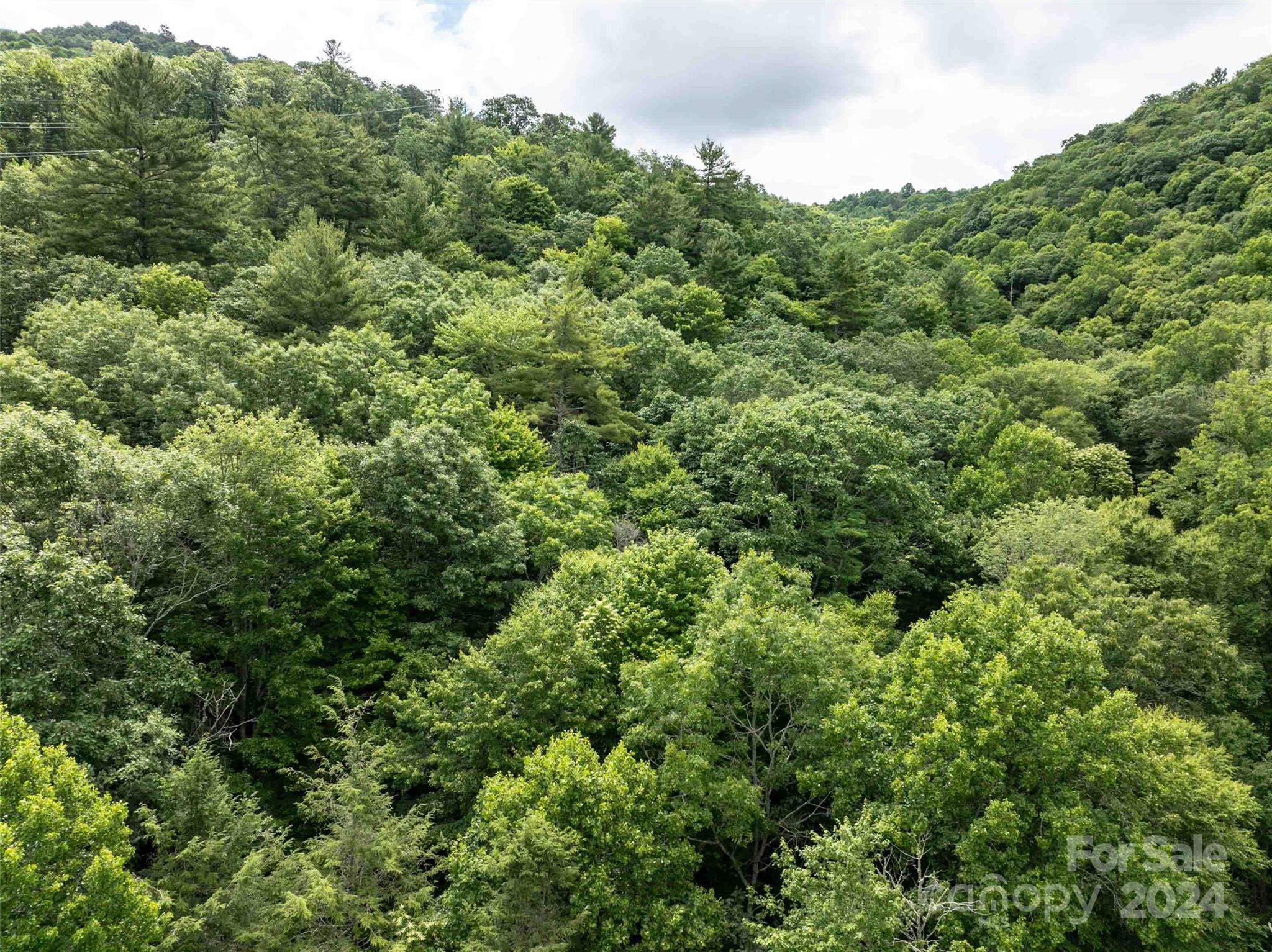Acreage at 00 Waterwheel Cove, Clyde, photo 17 of 22
