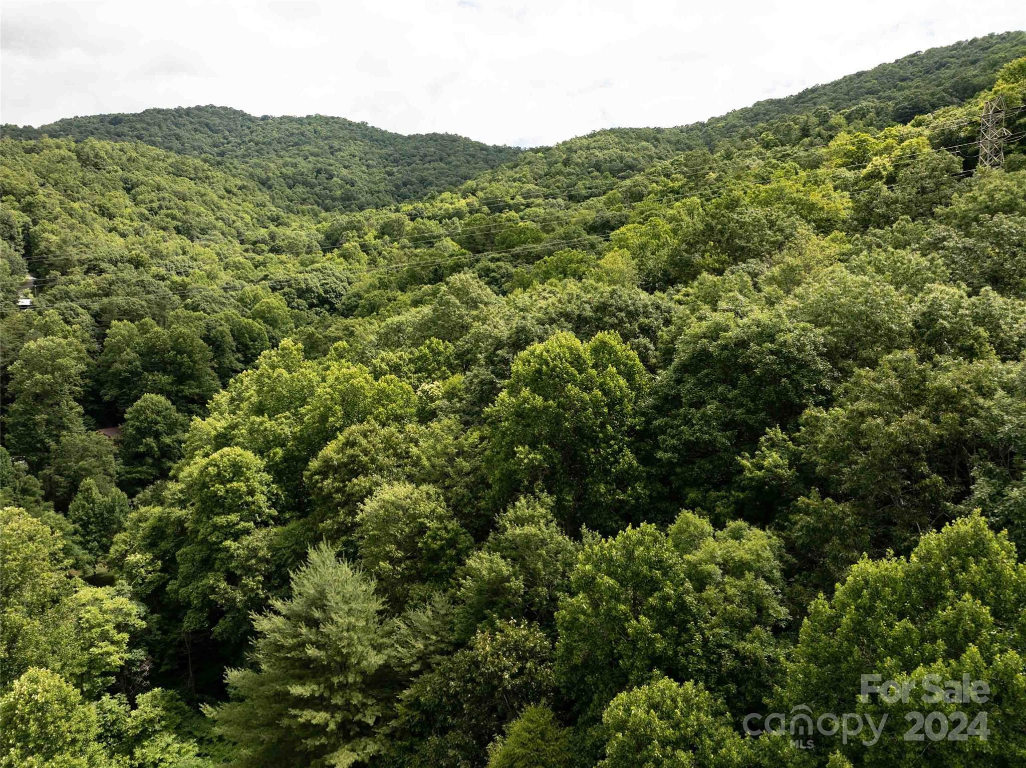 Acreage at 00 Waterwheel Cove, Clyde, photo 18 of 22