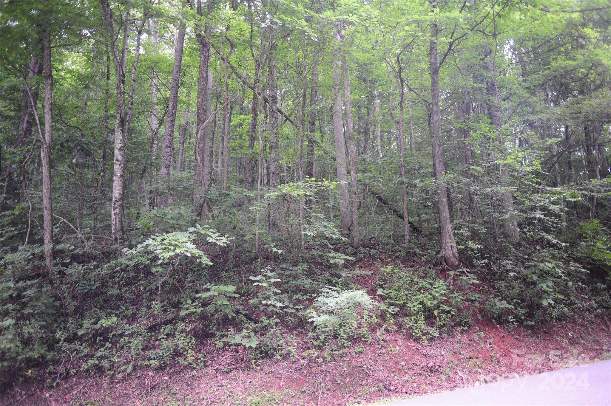 Right now lot has lush vegetation and trees, offering privacy in the spring and summer months. - 54 Great Aspen Way, Black Mountain