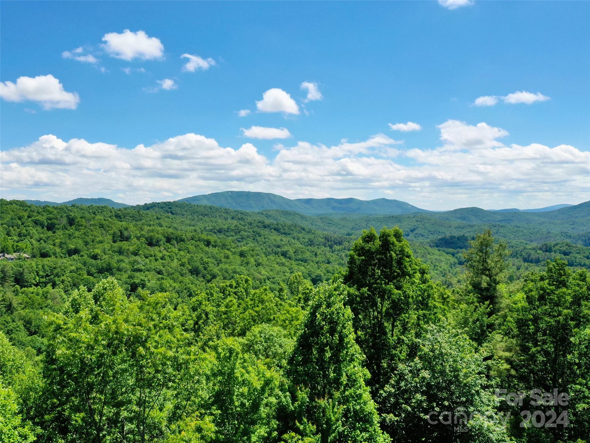 211 Bent Pine Trace