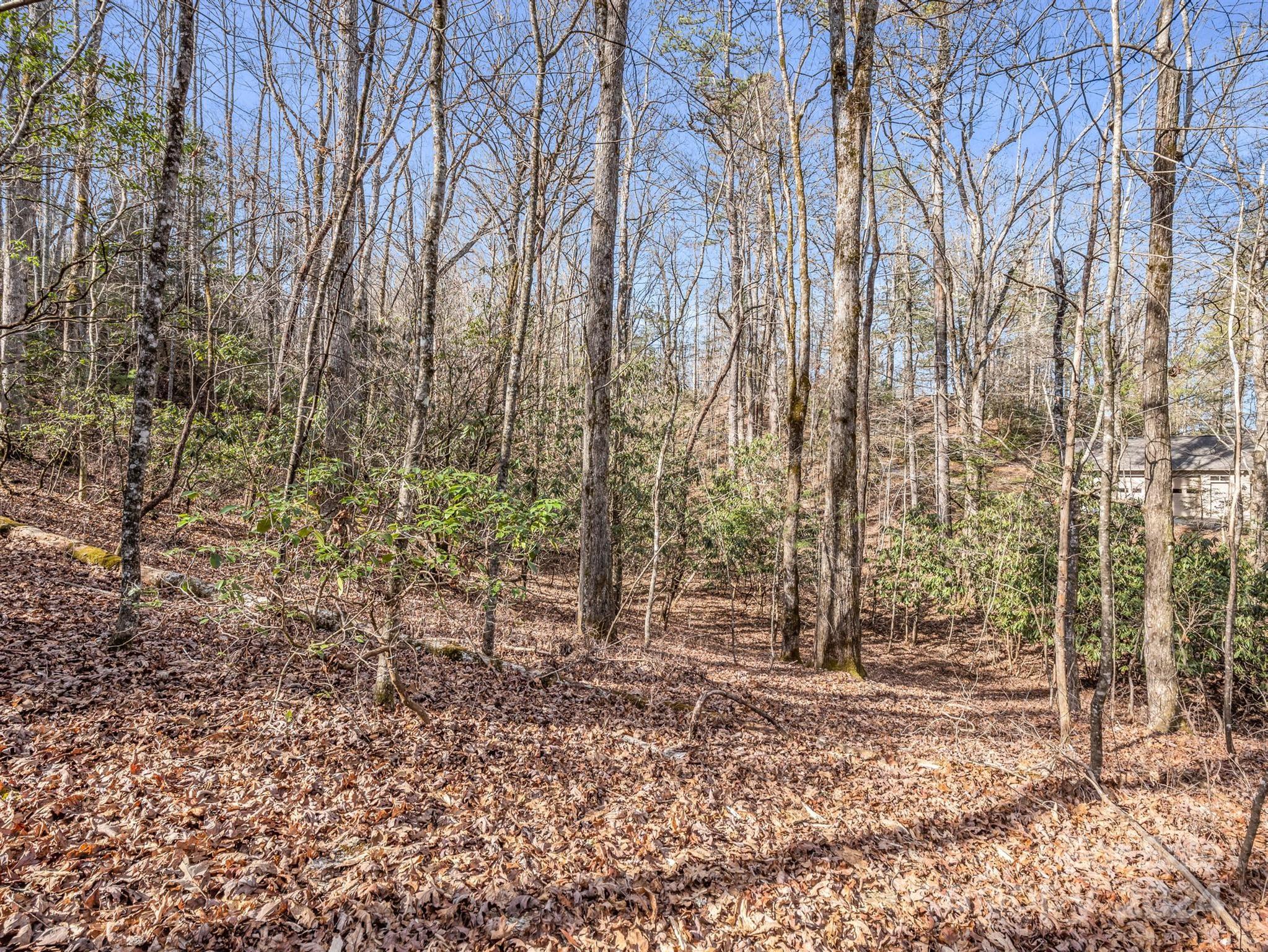 gentle sloping topography nearest to lake - TBD Adayahi Court, Brevard