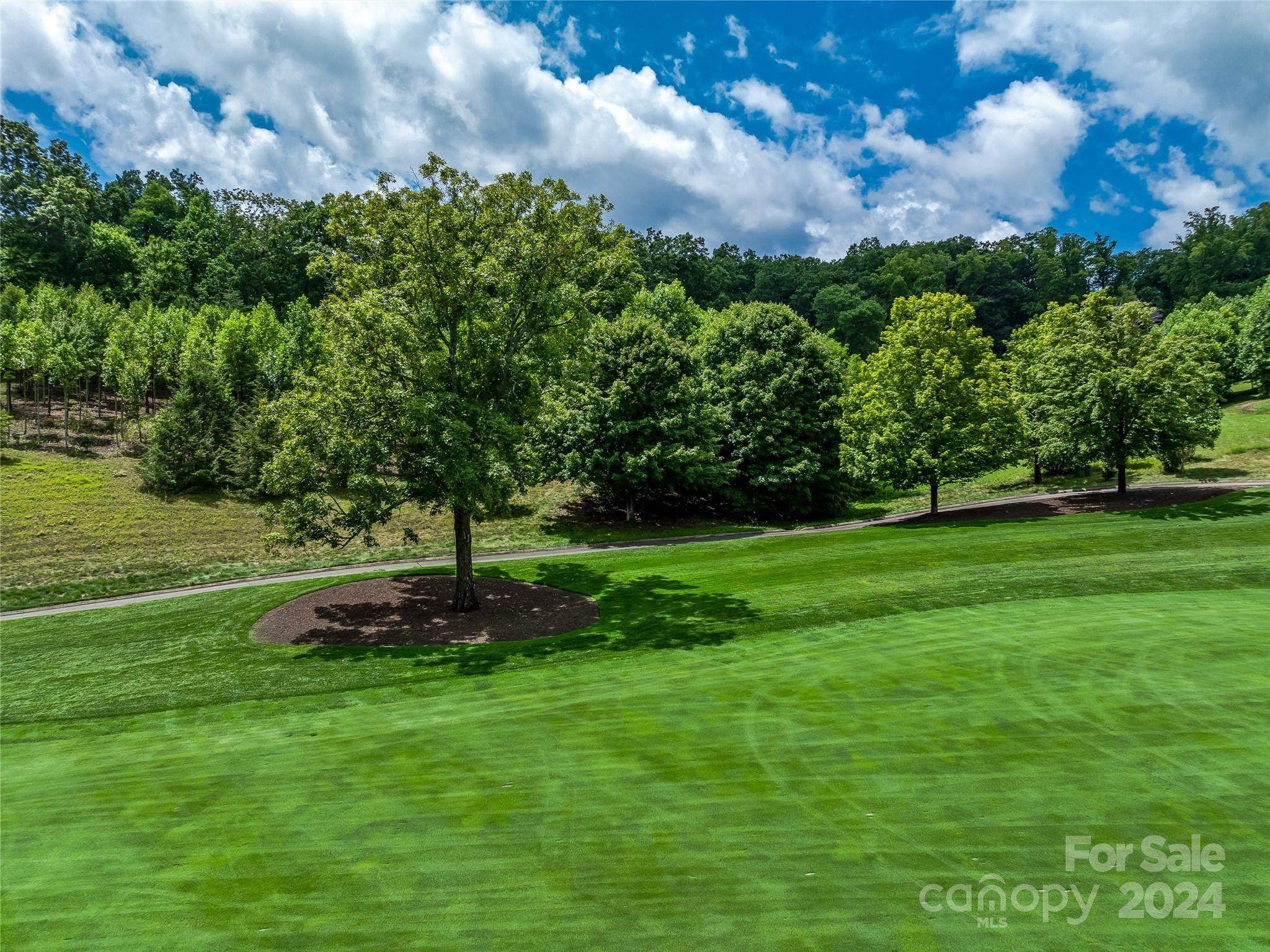 Lot at 1814 Bella Vista Court, Arden, photo 15 of 33