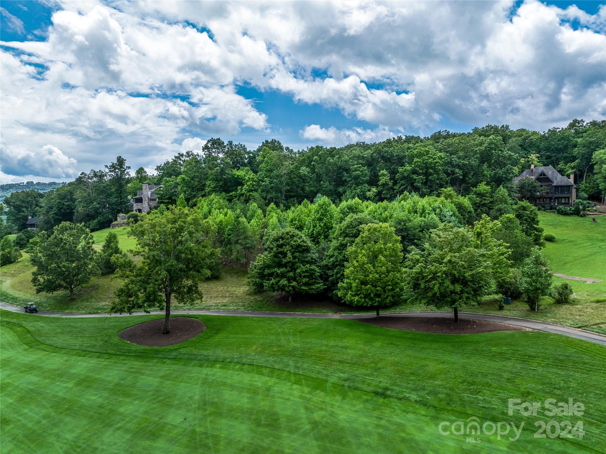 Lot at 1814 Bella Vista Court, Arden, photo 16 of 33