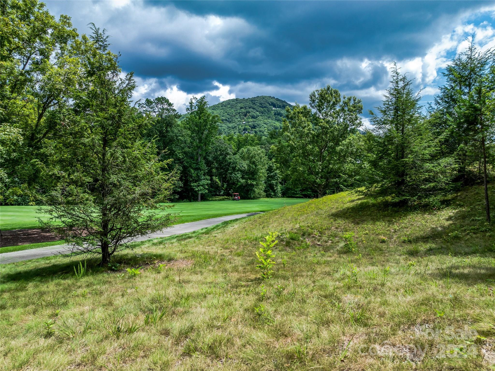 Lot at 1814 Bella Vista Court, Arden, photo 17 of 33