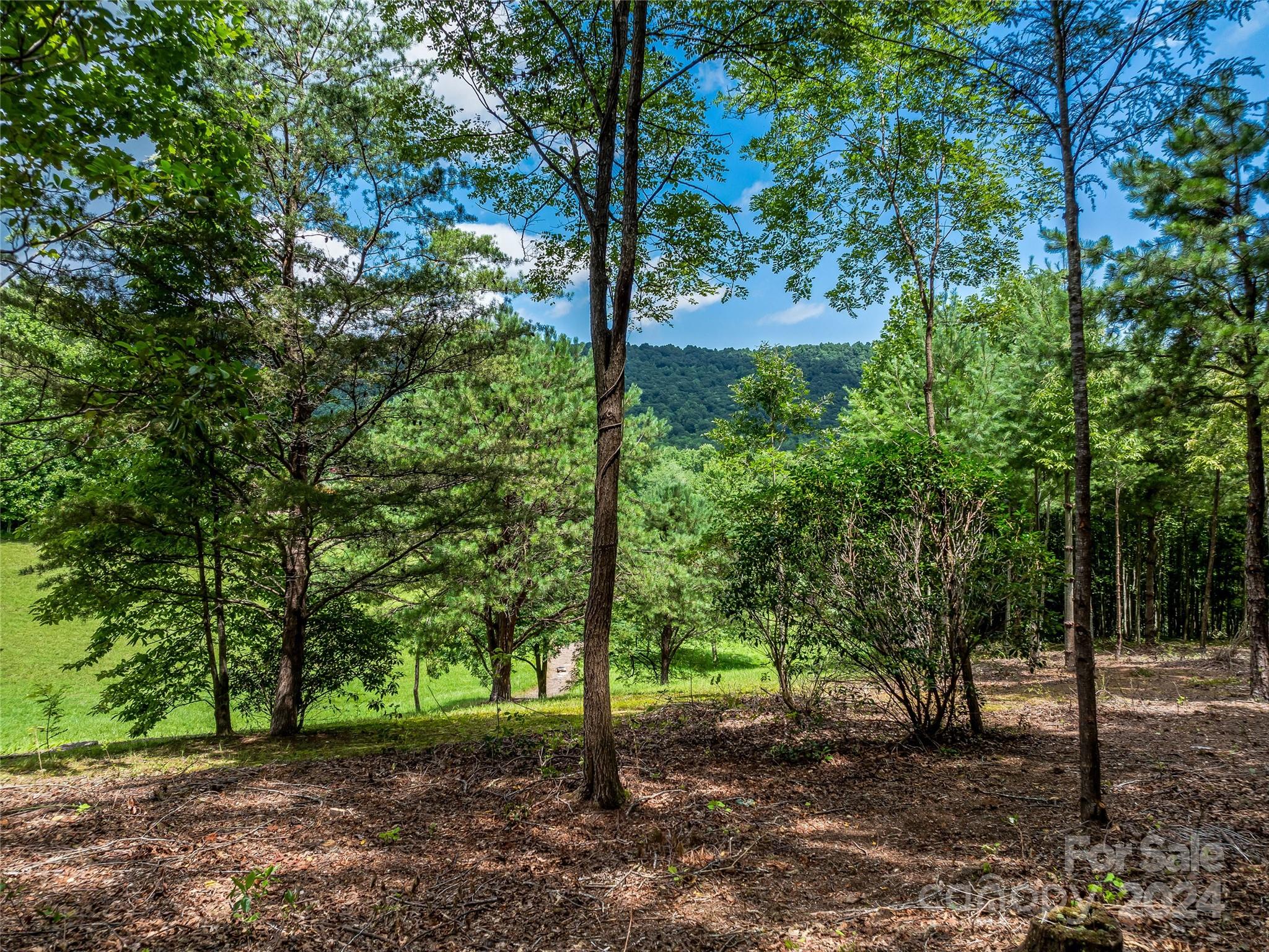 Lot at 1814 Bella Vista Court, Arden, photo 18 of 33