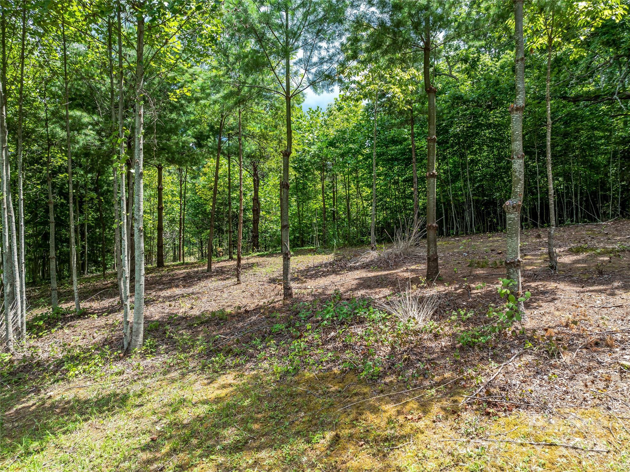 Lot at 1814 Bella Vista Court, Arden, photo 20 of 33